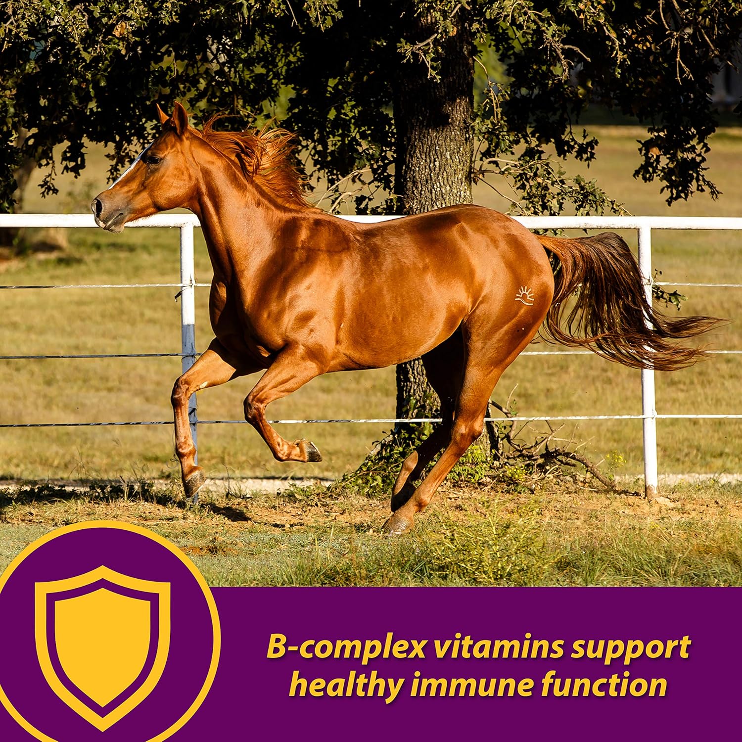 Red Cell® Pellets – Vitamin-Iron-Mineral Supplement for Horses 4 lb - Image 3