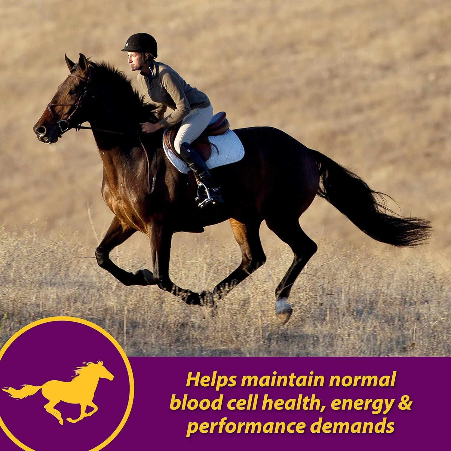 Red Cell® Vitamin-Iron-Mineral Supplement - Image 2