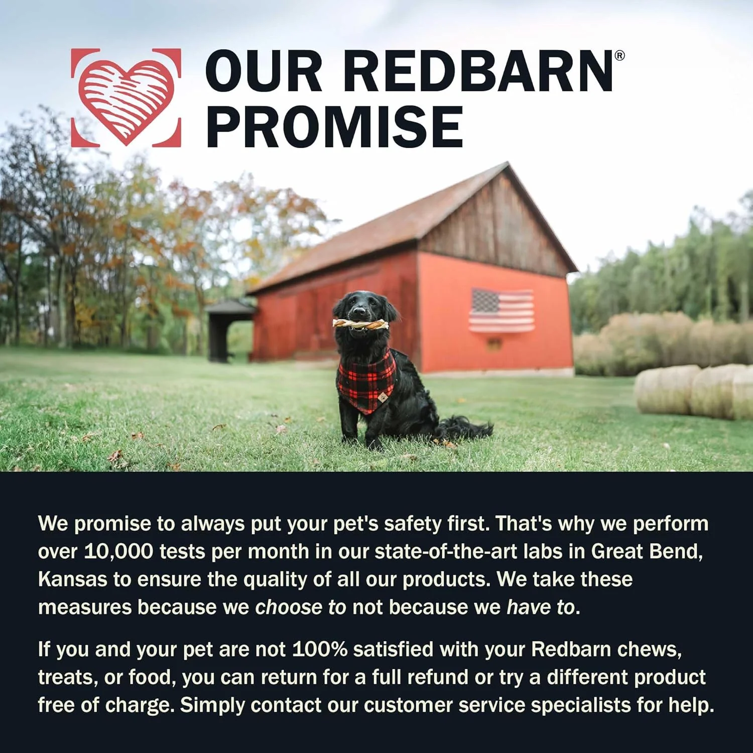 Redbarn® Powerfood Air Dried Dog Food – Digestive Gut Health (Chicken & Turkey, 2 lb) - Image 8
