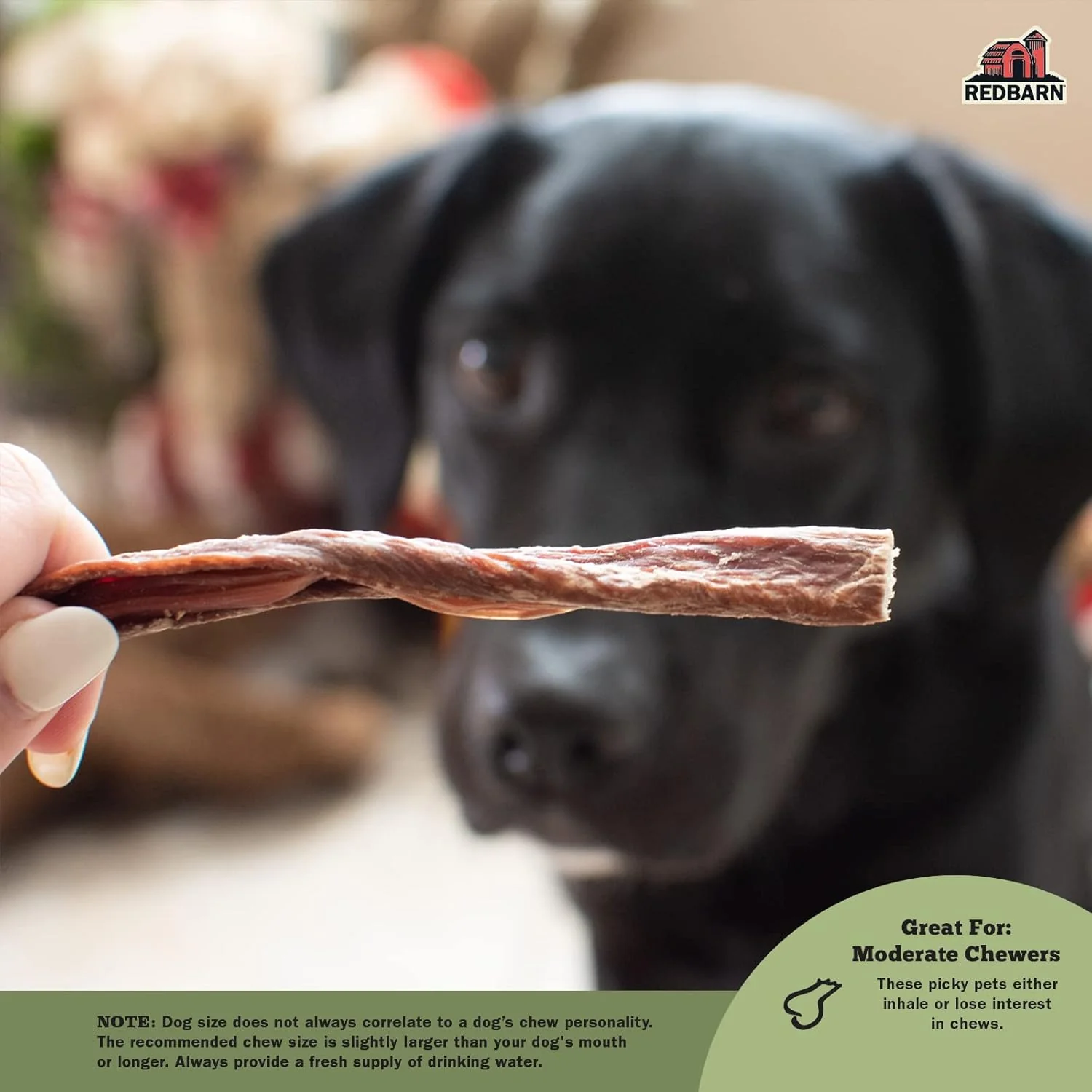 Redbarn All-Natural Bully Slims Beef Esophagus Chew Treats - Premium Grain-Free High Protein Low Fat Rawhide Alternative with No Artifical Ingredients - Image 3