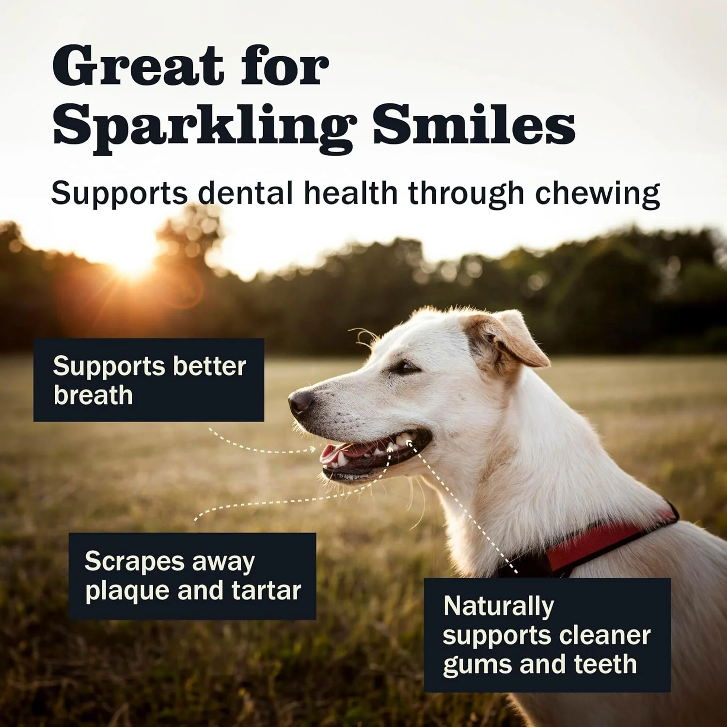 Redbarn All-Natural Bully Slims Beef Esophagus Chew Treats - Premium Grain-Free High Protein Low Fat Rawhide Alternative with No Artifical Ingredients - Image 6