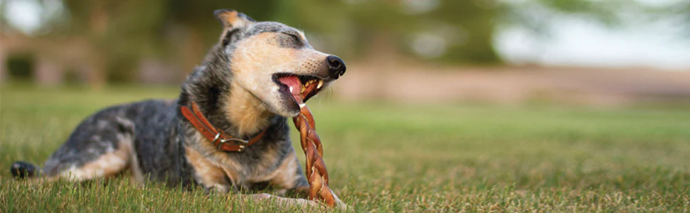 Redbarn Braided Bully Sticks for Dogs - Natural, Grain-Free, Highly Palatable, Long-Lasting Dental Chews Sourced from Free-Range, Grass-Fed Cattle - Image 8