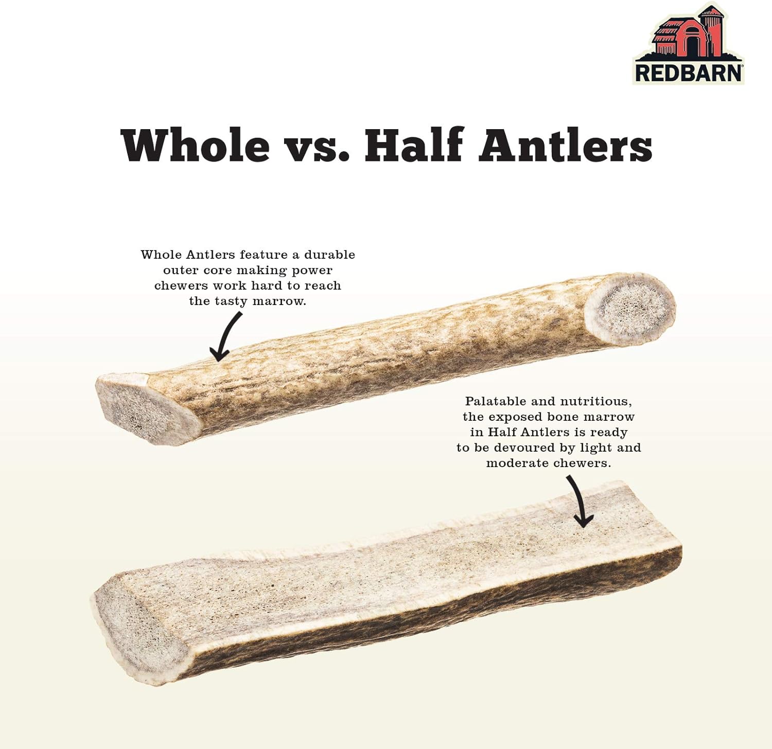 Redbarn Whole Elk Antler for Dogs - Image 4