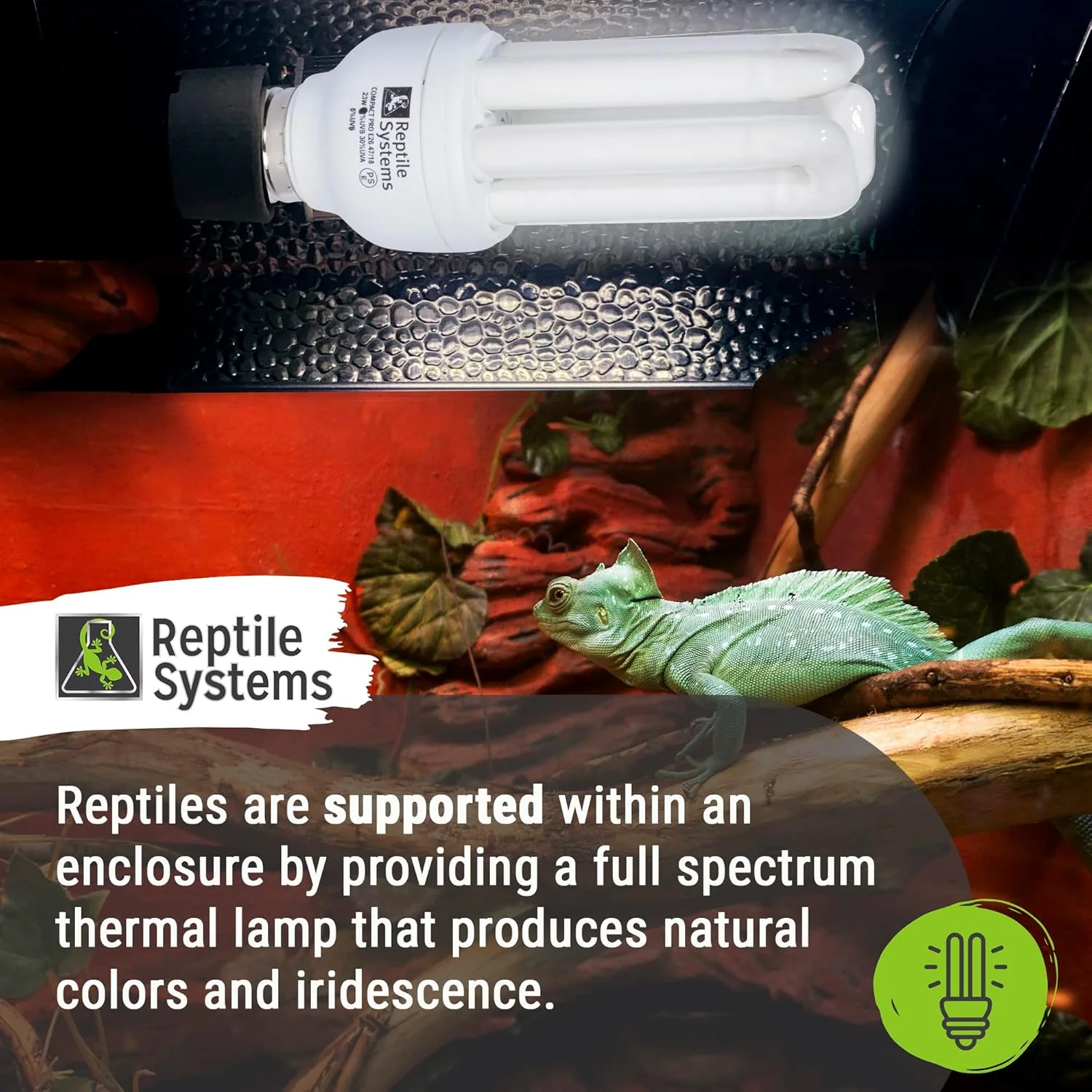 Reptile Compact Pro Basking Lamp – Ferguson Zone 2 Lamp: 6% UVB, Forest – Full Spectrum UVA & UVB Amphibian & Reptile Lighting – 7.09 Inch Fixture – 23 Watts - Image 5