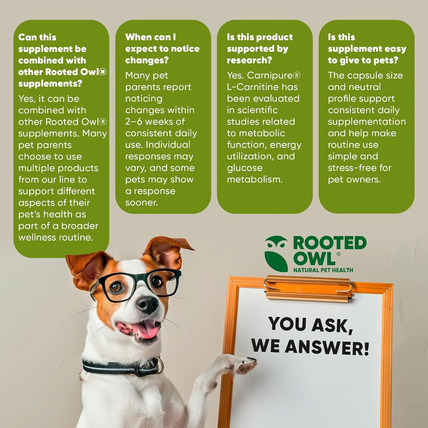 Rooted Owl® Metabolism Support - L-Carnitine Supplement for Dogs and Cats - Image 6