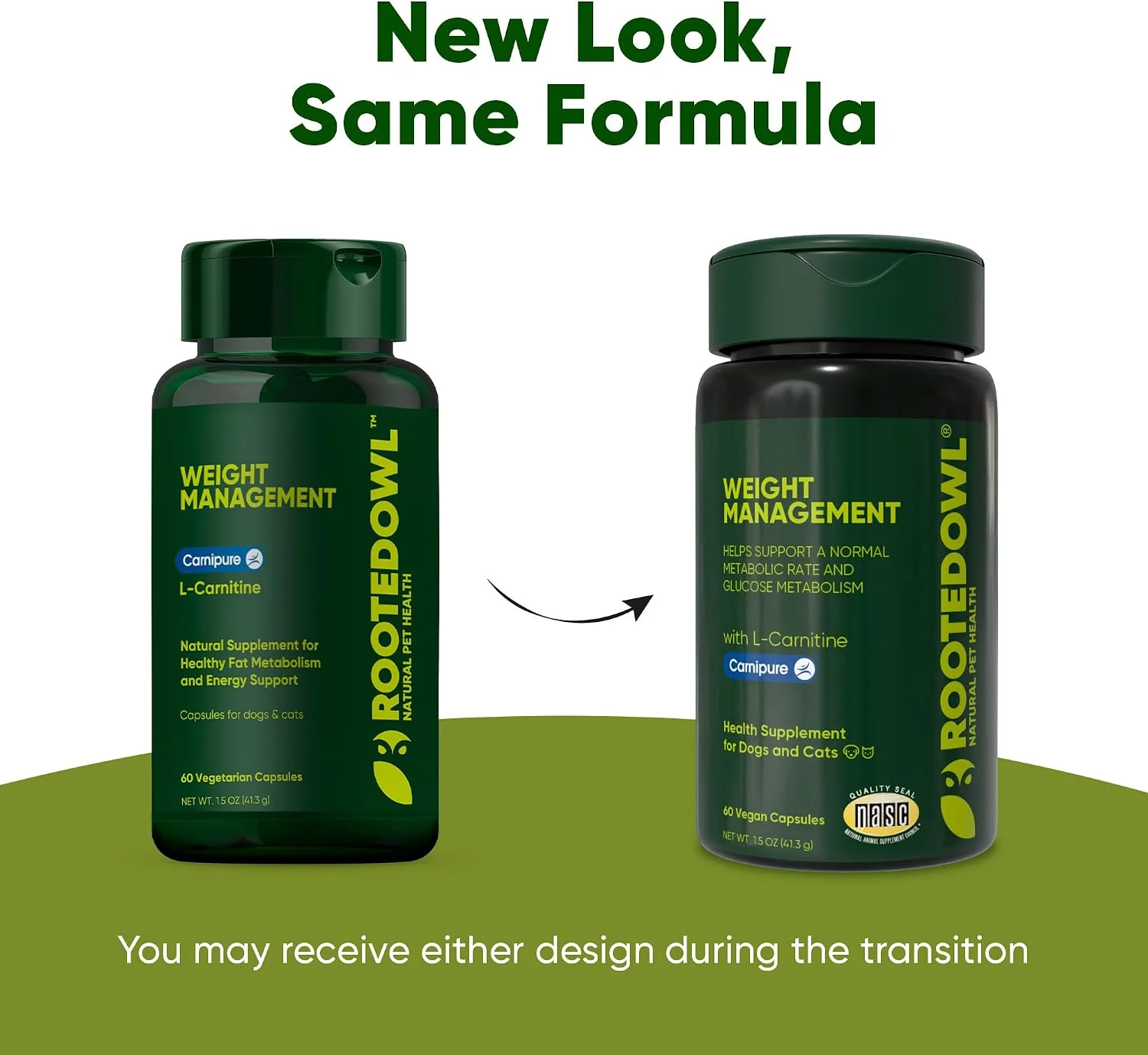 Rooted Owl® Metabolism Support - L-Carnitine Supplement for Dogs and Cats - Image 8