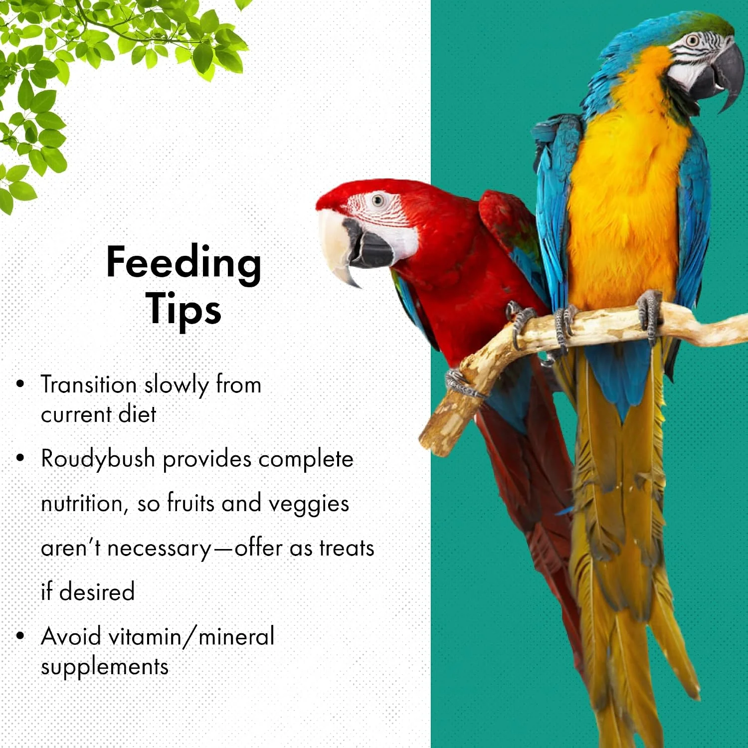 Roudybush Daily Maintenance Bird Food Nibbles – 25 lb - Image 6
