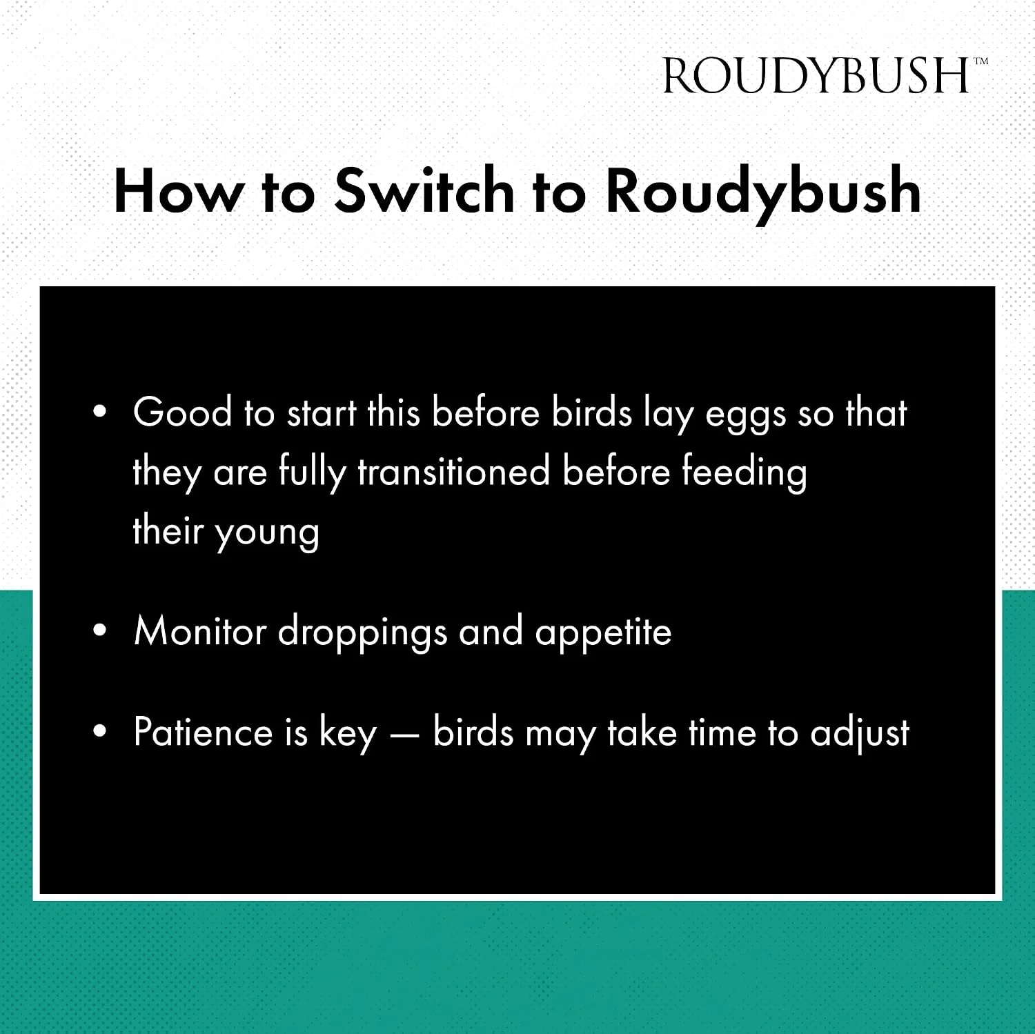 Roudybush Daily Maintenance Bird Food Nibbles – 25 lb - Image 7