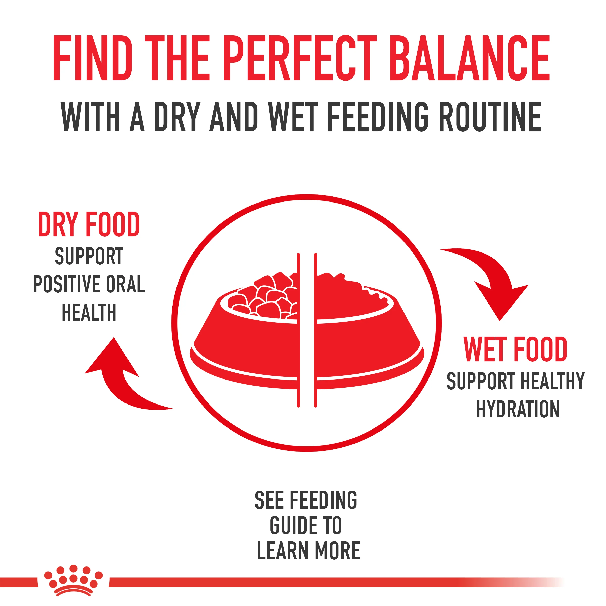 Royal Canin Breed Health Nutrition Labrador Retriever Puppy Dry Dog Food - Image 9