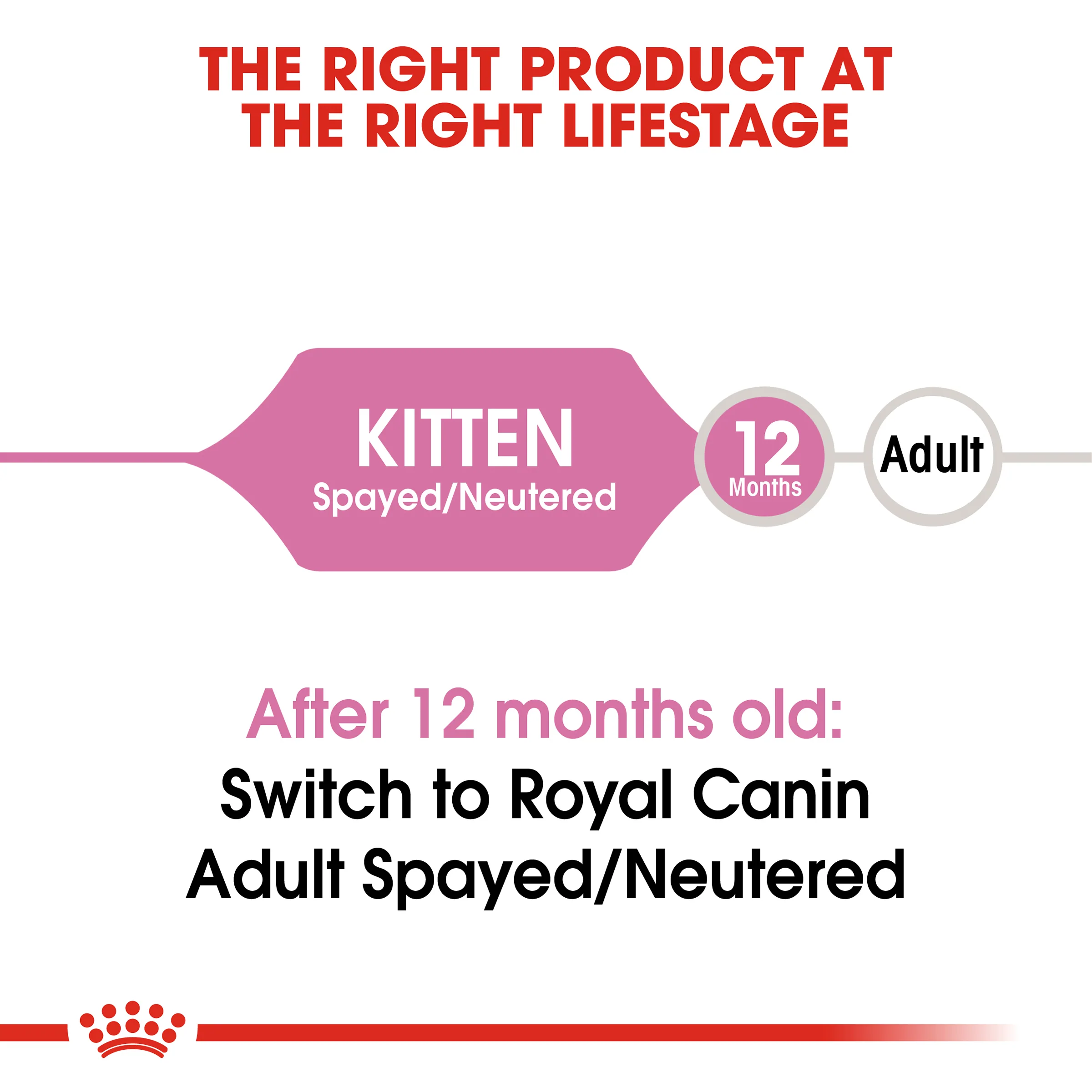 Royal Canin Feline Health Nutrition Kitten Spayed/Neutered Dry Cat Food - Image 7