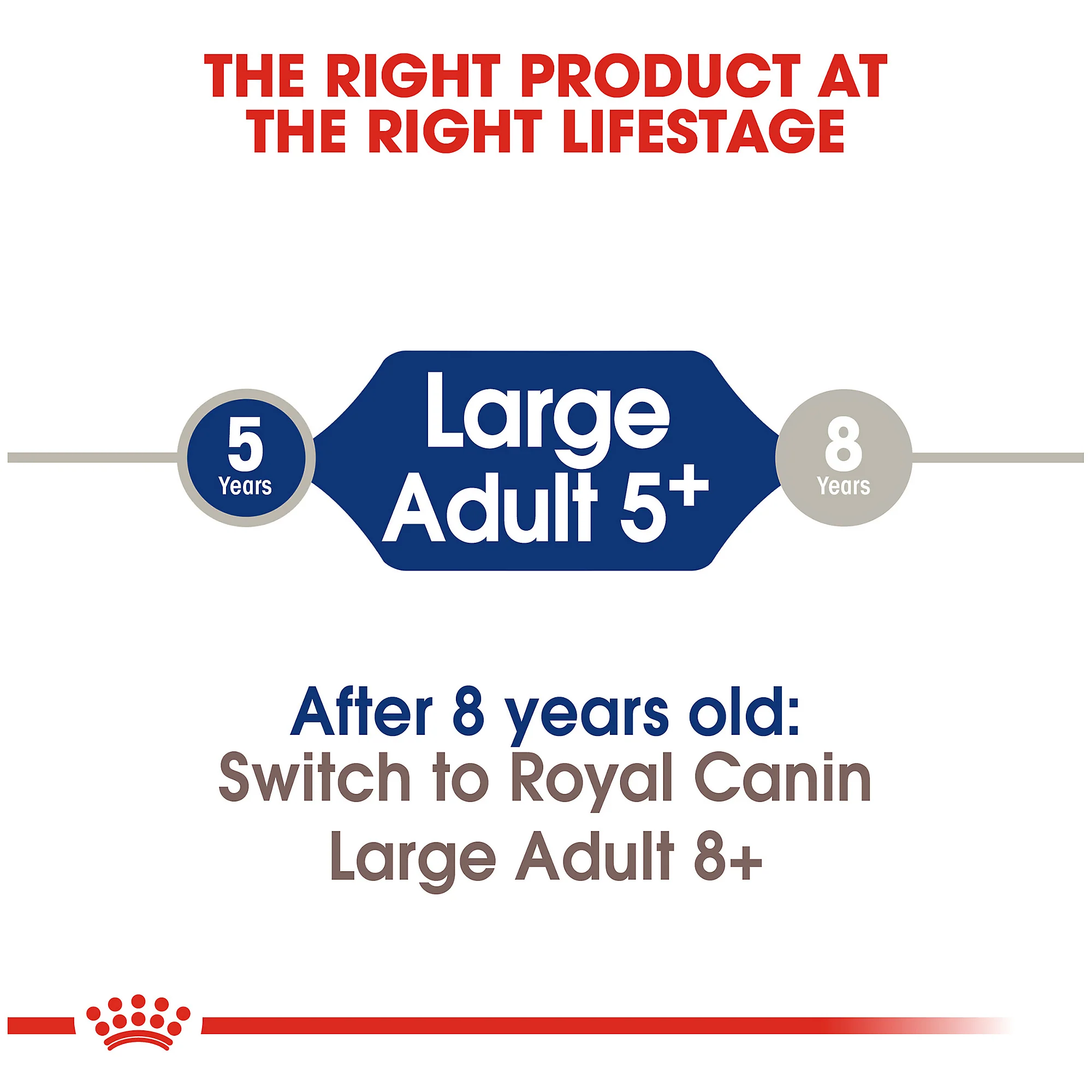 Royal Canin Large Adult 5+ Dry Dog Food for Older Dogs - Image 7