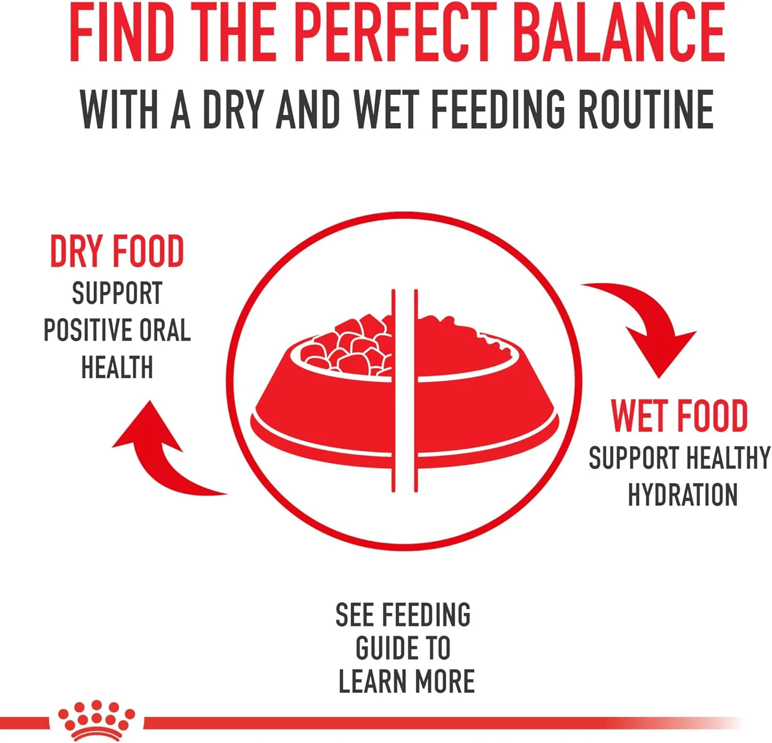 Royal Canin Large Breed Adult Dry Dog Food - Image 10