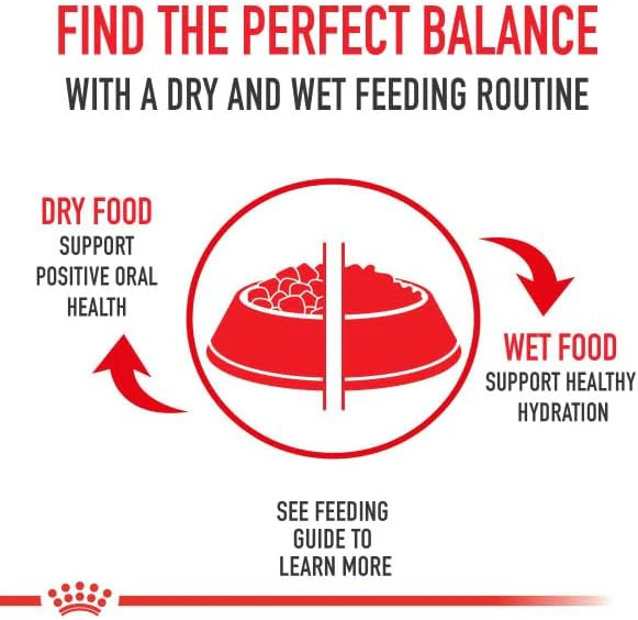 Royal Canin Canine Health Nutrition Adult In Gel Canned Dog Food - Image 2