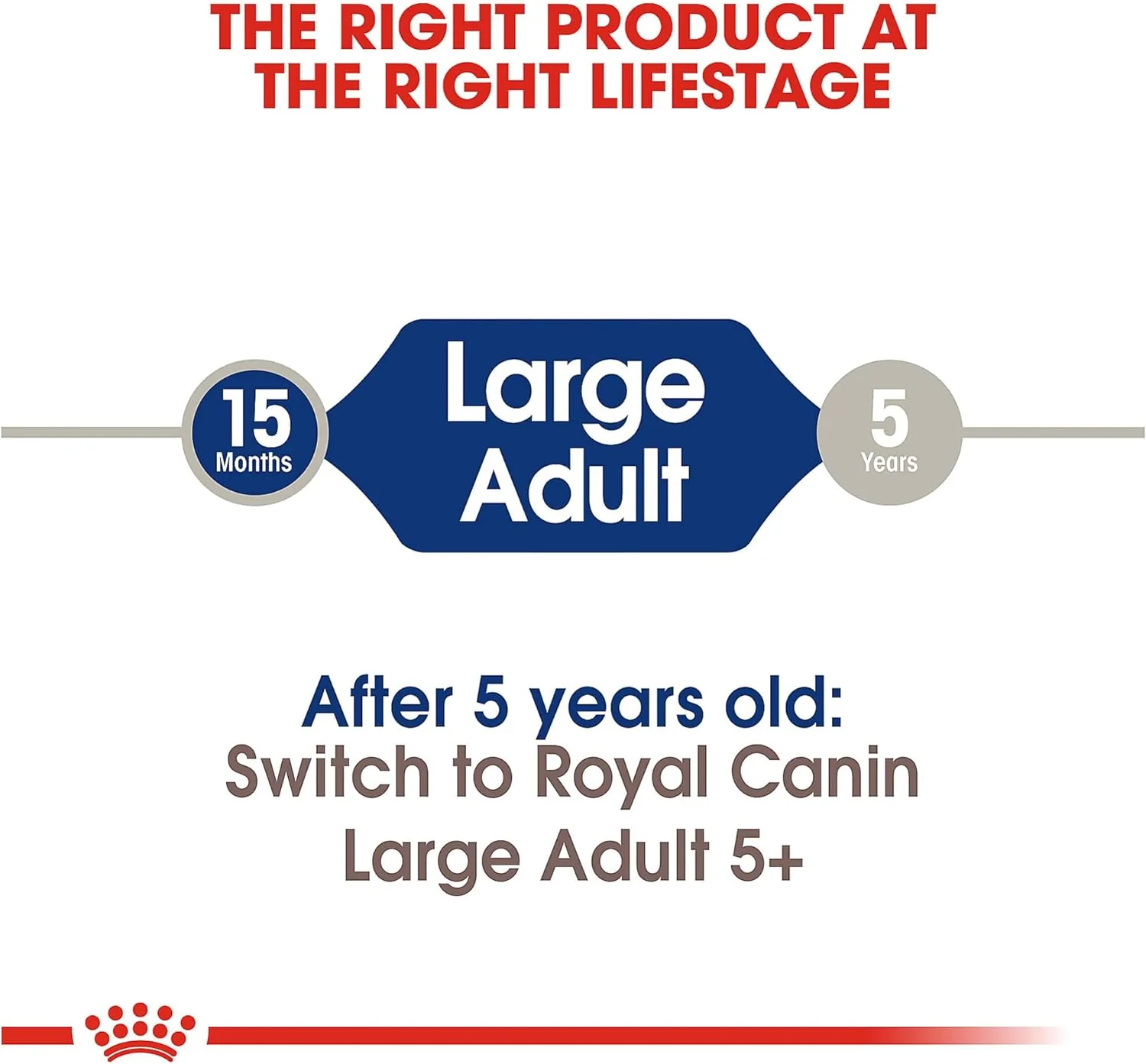 Royal Canin Size Health Nutrition Large Adult Dry Dog Food - Image 7