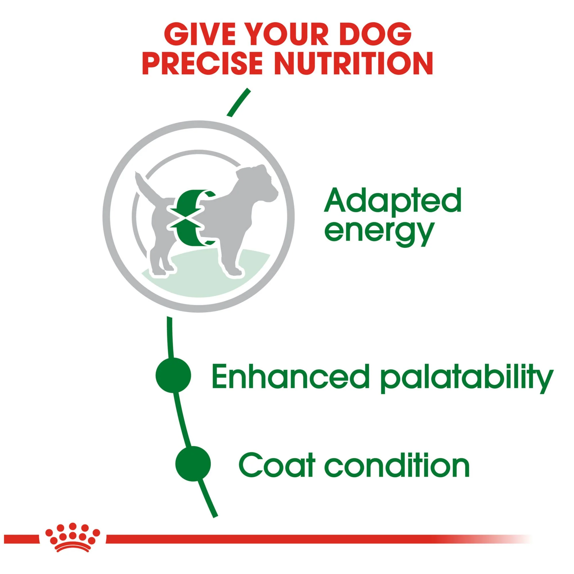 Royal Canin Small Breed Adult Dry Dog Food - Image 6