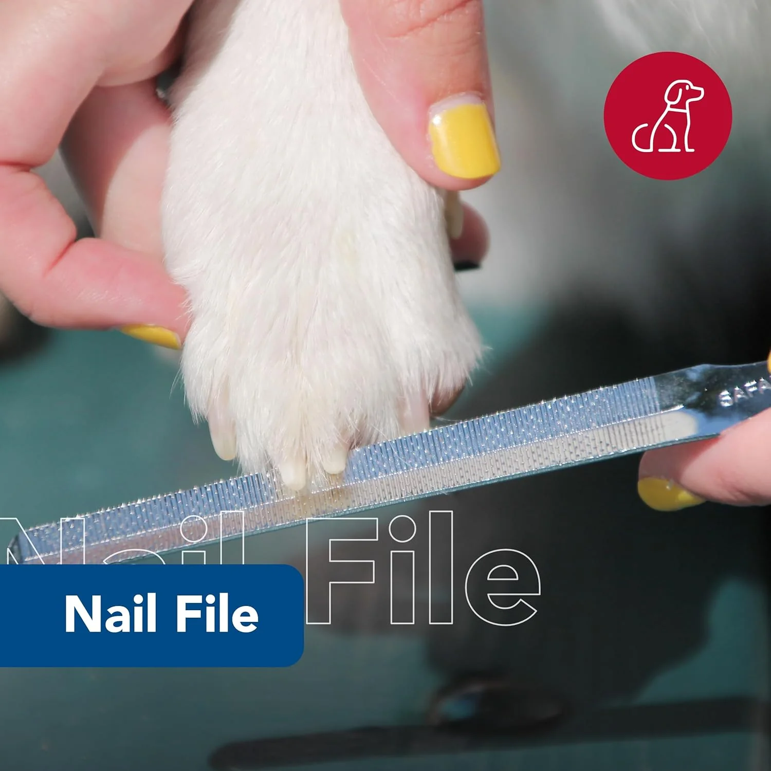 Safari Dog Nail File - Ensure a Smooth Finish After Cutting - Remove Burs from Outdoor & Indoor Dogs - One Size - Image 2