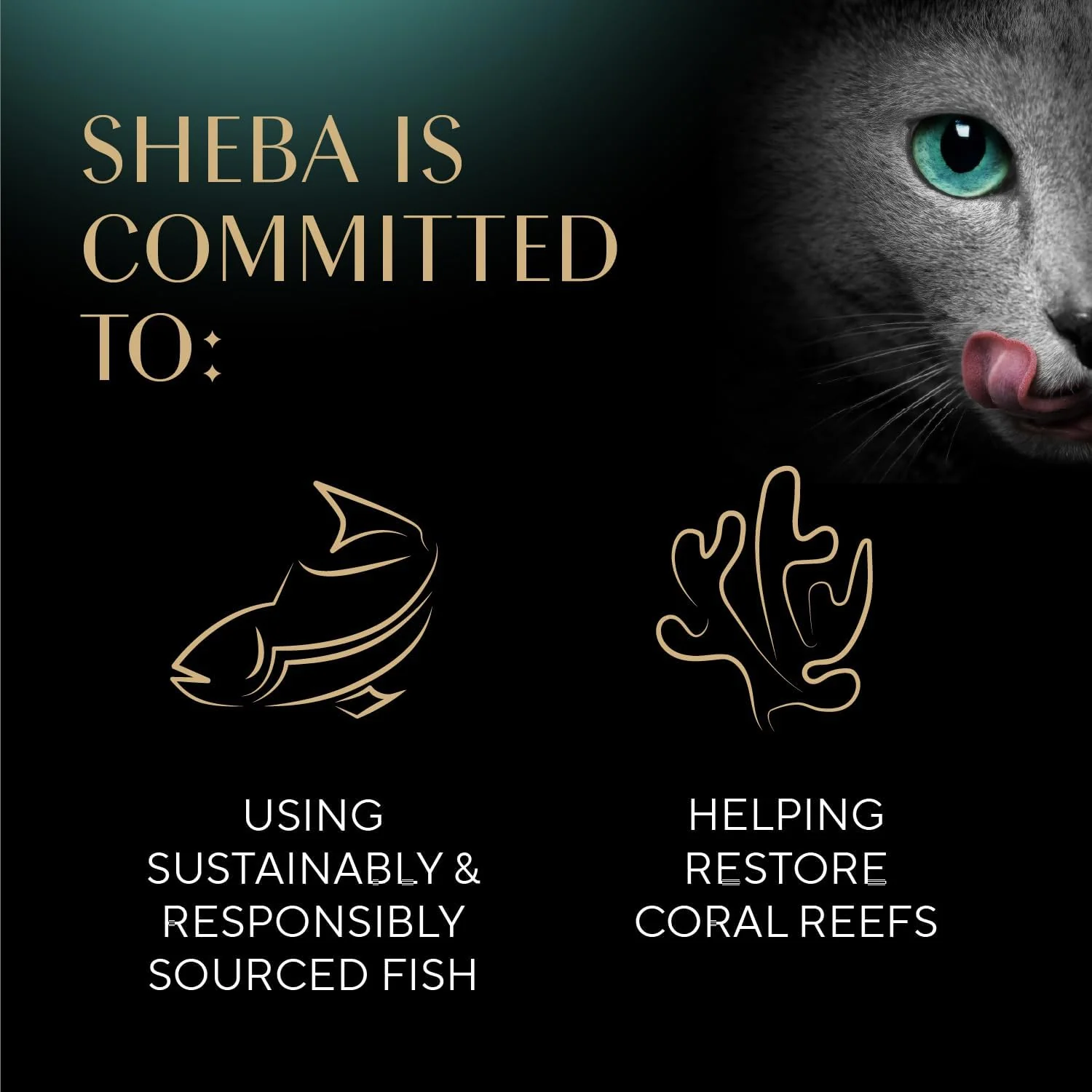 Sheba Meaty Tender Sticks Salmon 10 / .07 oz - Image 4