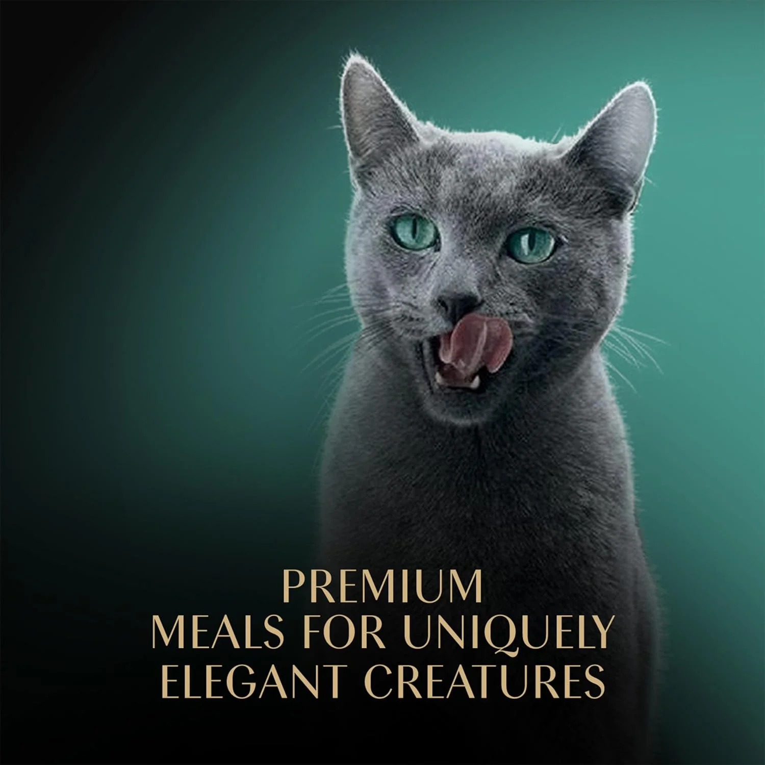 Sheba Perfect Portions Wet Cat Food Cuts in Gravy Variety Pack, Roasted Chicken Entree, with Sustainable Salmon, and Tender Turkey Entree 2.6-oz(Pack of 24) - Image 11