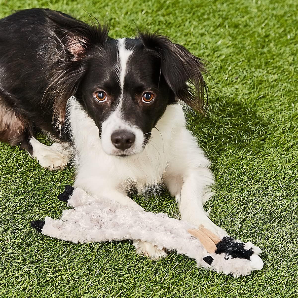 Skinneeez Crinklers Goat - Stuffing-Free Dog Toy with Crinkle & Squeaker Sounds, Durable for Moderate Chewers, Tug Toy for Small Dogs & Puppies - Image 3