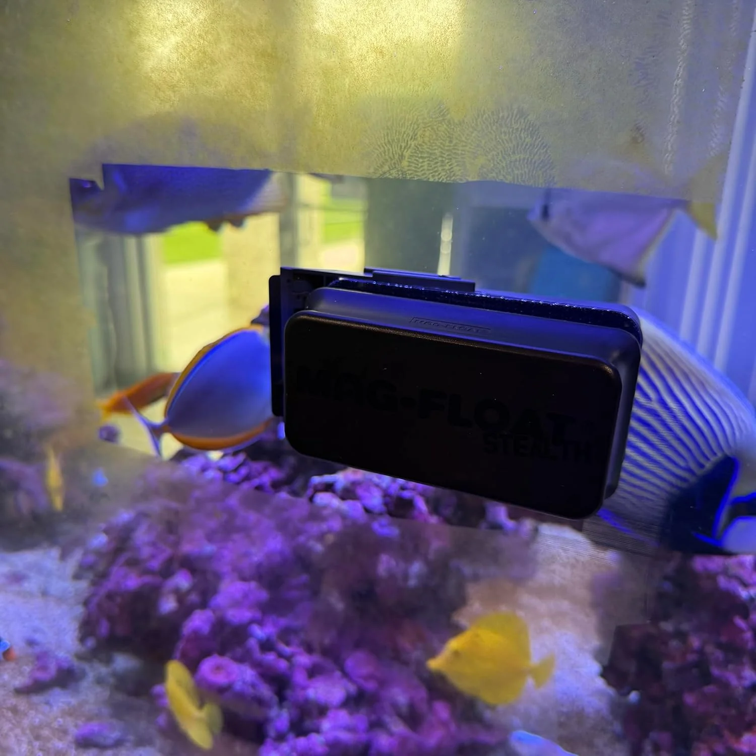 Small Black Stealth Glass Magnet Aquarium Scraper Cleaner with Blade - Floating Magfloat Magnetic Cleaning Tool - Image 4