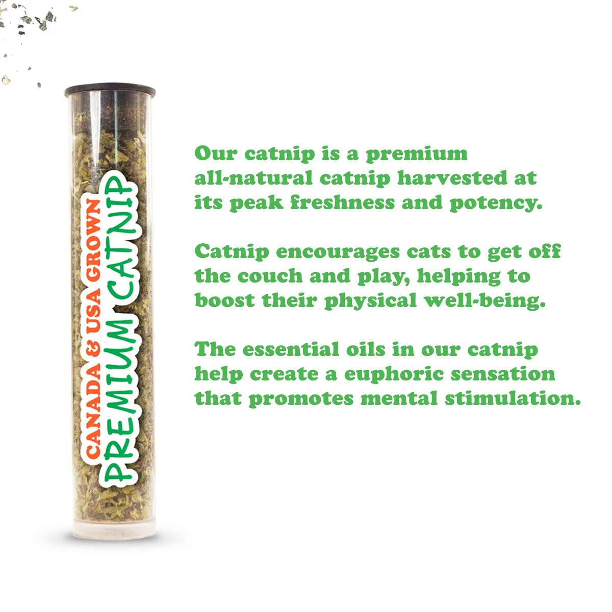 SMARTERPAW Meowijuana Get Cheesy Toy - Image 3