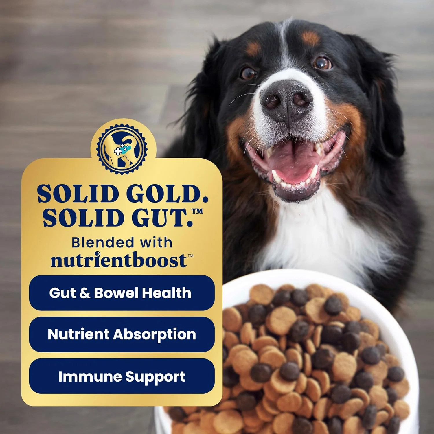 Solid Gold Bison Dry Dog Food for Large Dogs – High Protein, Whole Grain Kibble with Real Bison, Brown Rice & Omega 3 – Large Kibble w/Probiotics for Gut Health - Adult Dog Food - Nutrientboost™ 22-lb - Image 4