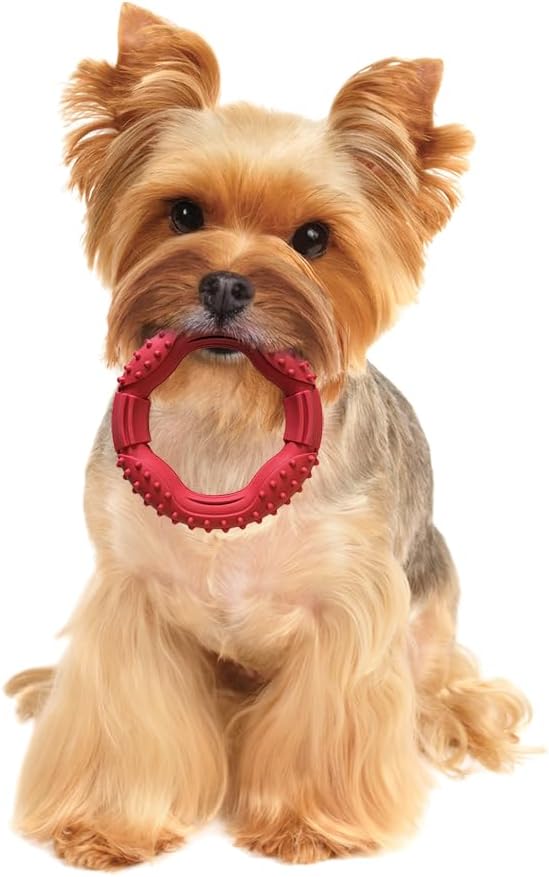 SPOT Barrett Tough Ring, Rubber Dog Toy for Agressive Chewers, 5in - Image 3