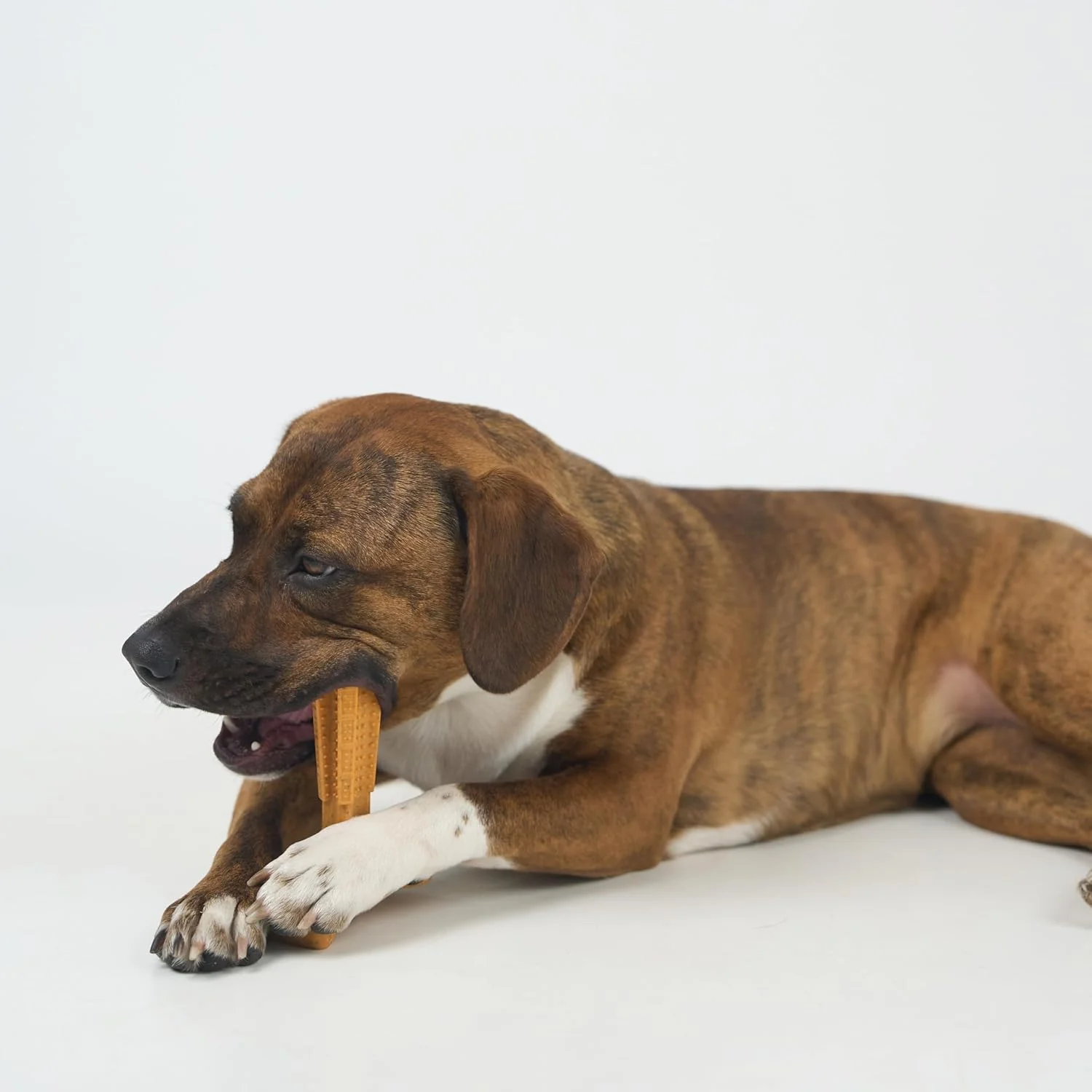 SPOT Bam-Bones Plus T Bone - Bamboo Fiber & Nylon, Durable Long Lasting Dog Chew for Aggressive Chewers – Toy for Dogs & Puppies Under 60lbs, Non-Splintering, Allergen Free Peanut Butter Flavor - Image 6