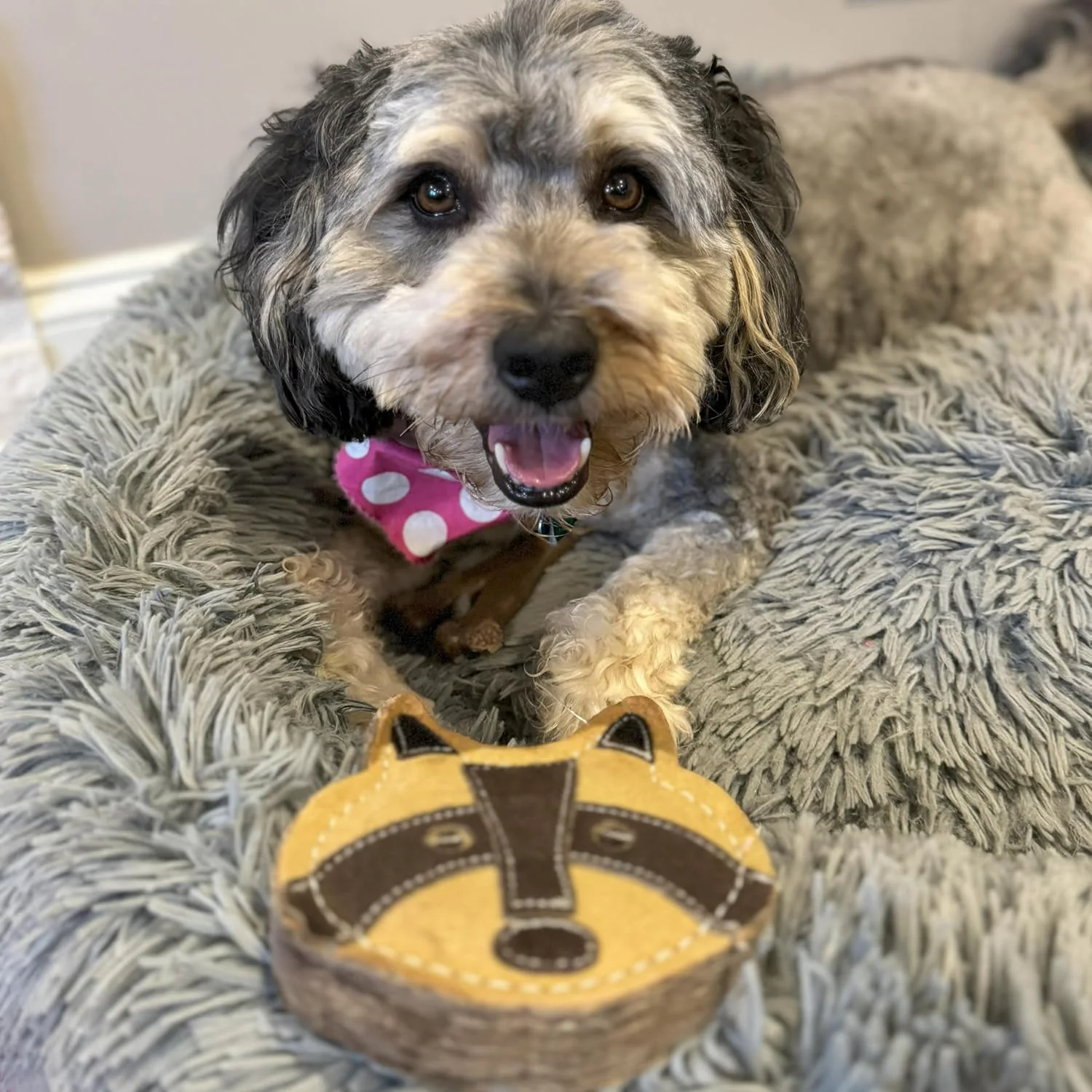 SPOT Dura-Fused Chunkies All Natural Leather and Felt Dog Toy - No Squeak, No Fluff, Durable, Extra Thick Dog Chew Toy for Aggressive Chewers, Great for Adult Dogs and Teething Puppies - Image 5