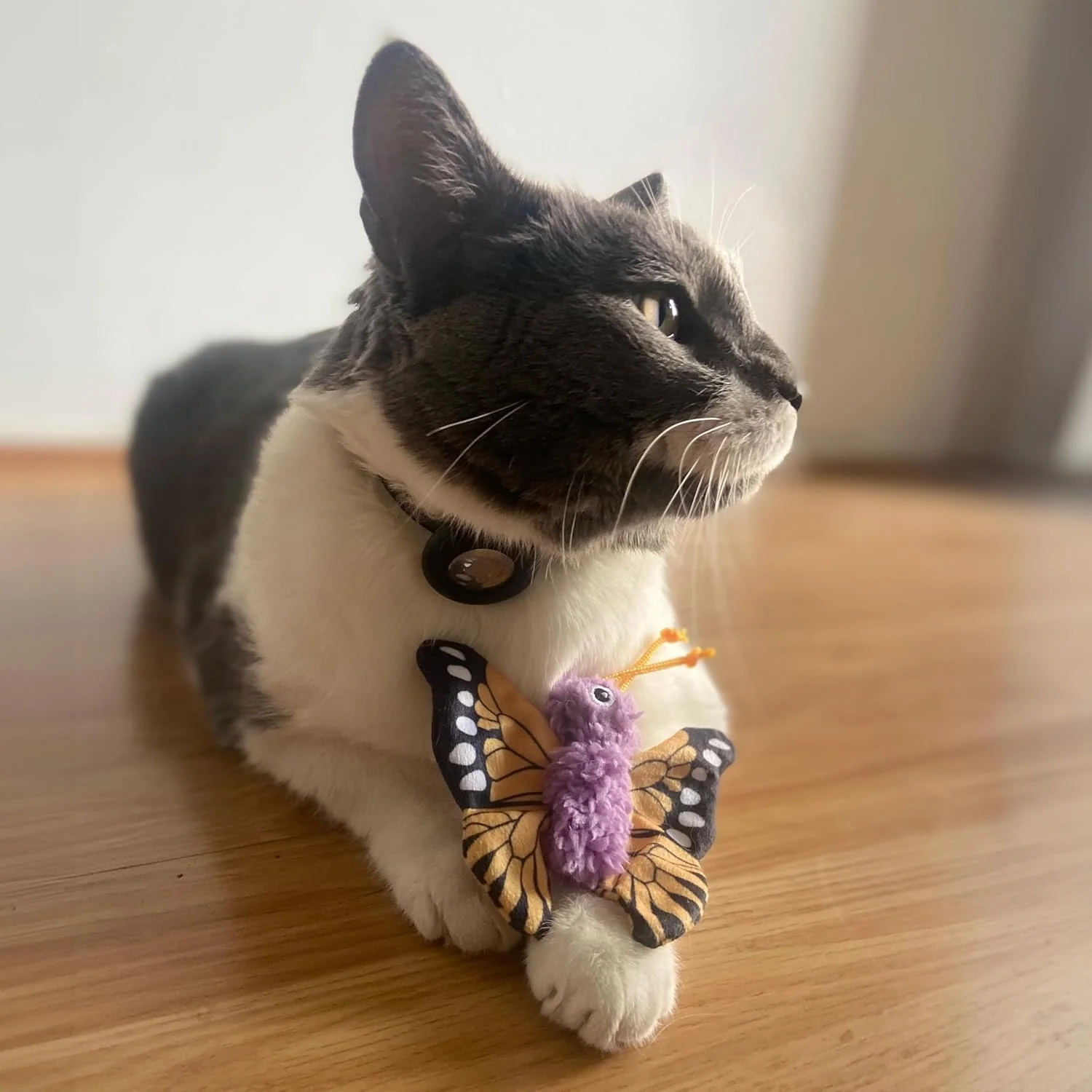 SPOT Love The Earth Butterfly Cat Toy - Eco Friendly Catnip Toy Made with Recycled Plastic Bottles, Soft, Plush, Bright Colored Classic Toy for Indoor Cats and Kittens - 4 inch, Assorted Colors - Image 7