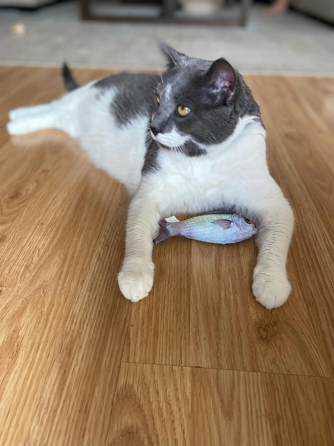 SPOT Fanatic Fish - Plush Cat Toy with Catnip and Crinkle Sound, Realistic Looking Fish Toy for Cats & Kittens to Cuddle, Chase, Hug, Kick, and Swat -6.5in, 1 Piece - Image 2