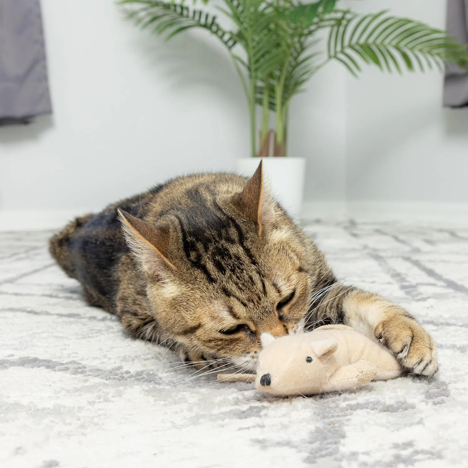 SPOT Flat Mouse Frankie with Catnip - Cat Toy, Fuzzy Mice with Catnip and Crinkle Sound, Perfect Size for Pouncing on, Chasing, Hunting - 5.5in Plush Toys, Assorted Colors - Image 6