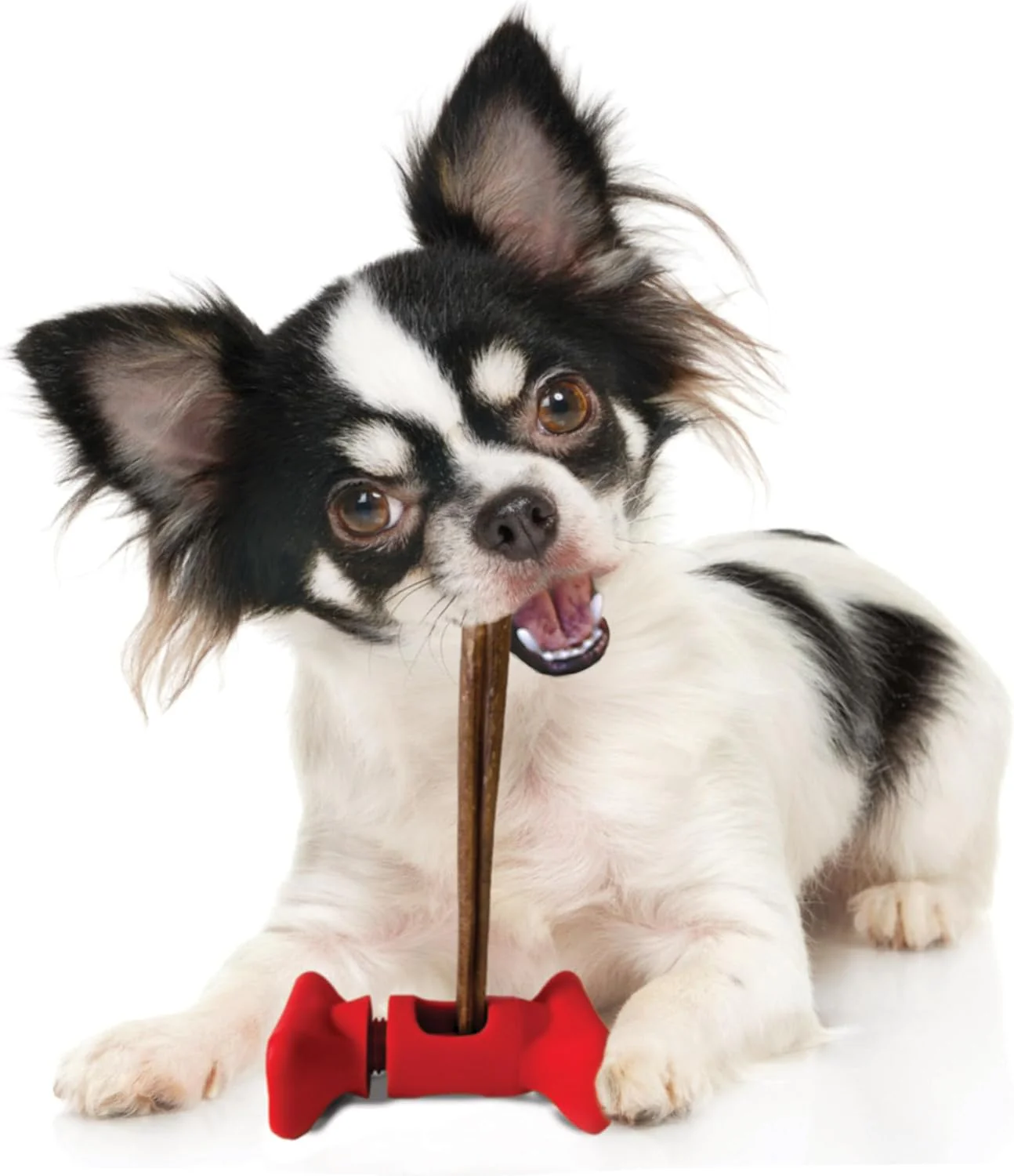SPOT Treat Holder- Safety Device Bully Stick Holder & Yak Cheese Holder, to Help Prevent Choking - Image 6