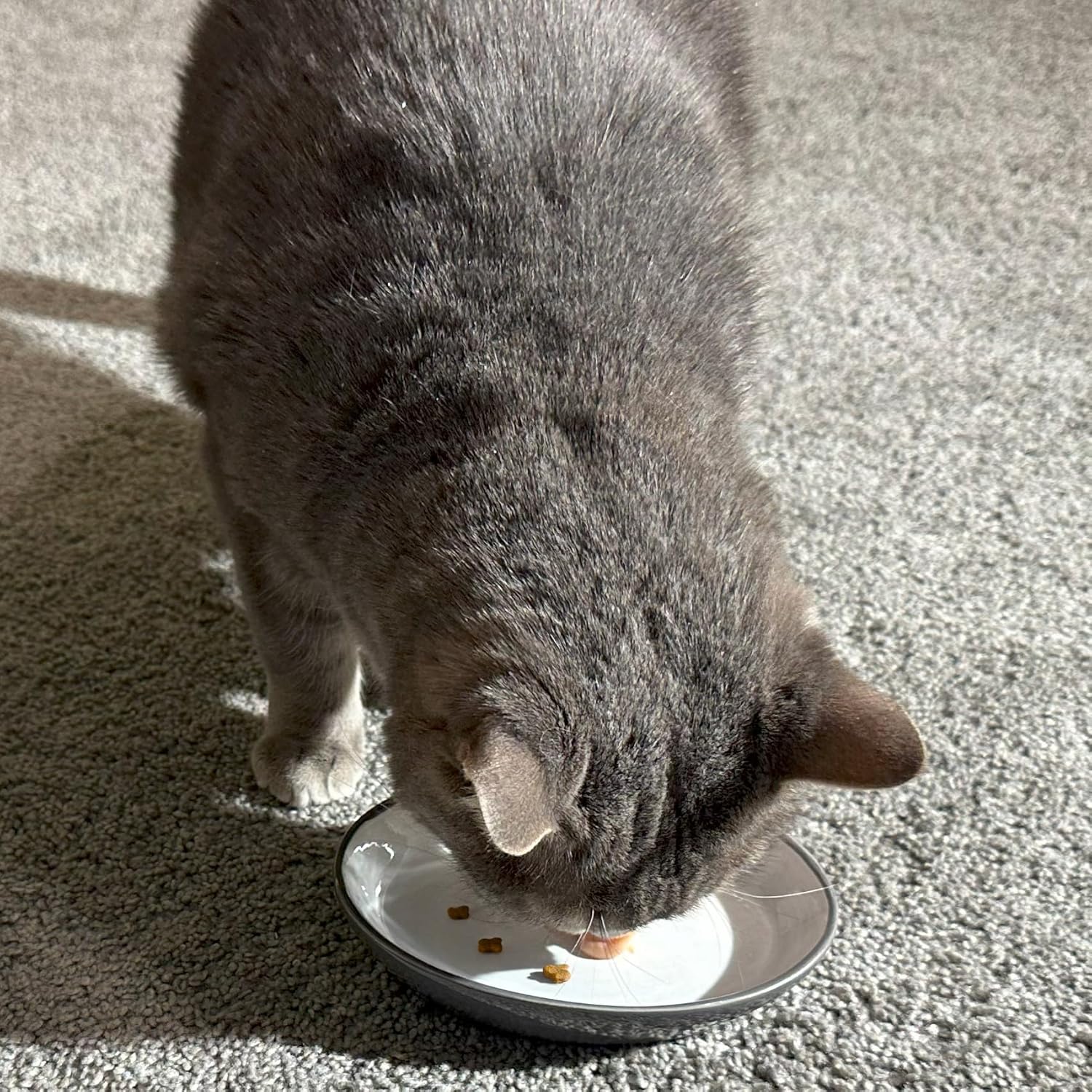 SPOT Two Tone Gray Oval Cat Food Dish - Ceramic Plate with Low Edges, Saucer with Whisker-Friendly Shape and Low-Profile Sides, Ideal for Wet or Dry Cat Food, Hand Wash Only, 6 inch (1 Cup- 8 Oz) - Image 2