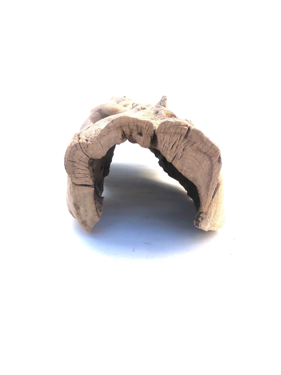 Sublime Vines Grapevine Cave Decor - Image 2