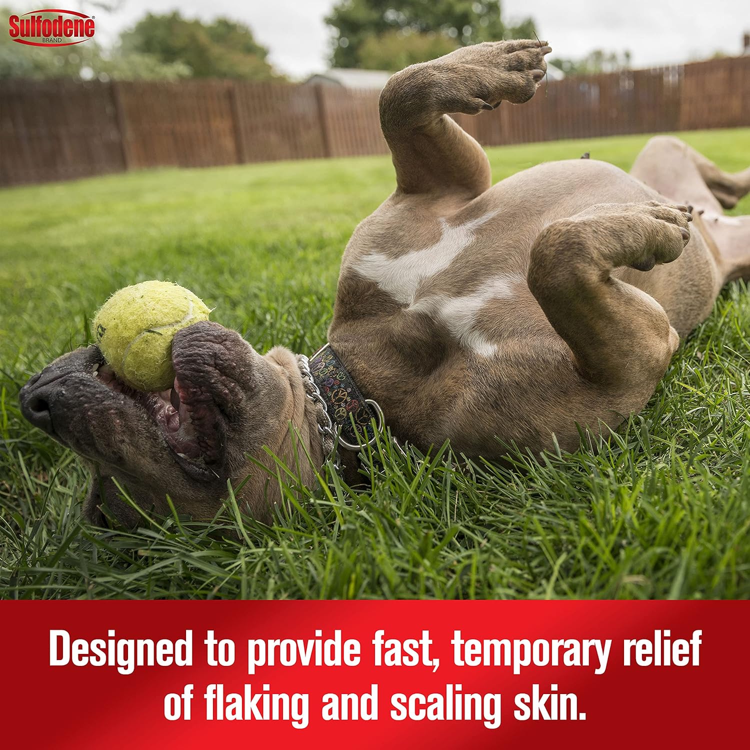 Sulfodene Medicated Shampoo & Conditioner for Dogs 12oz - Image 4