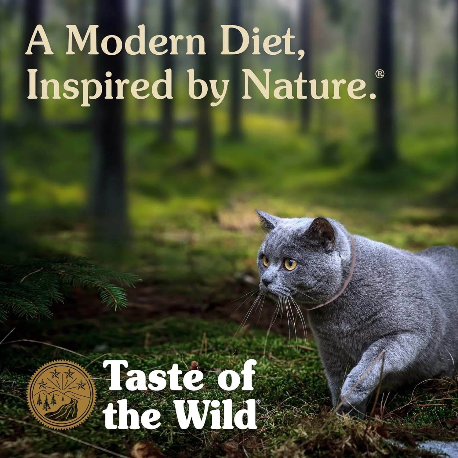 Taste Of The Wild Canyon River Dry Cat Food - Image 6