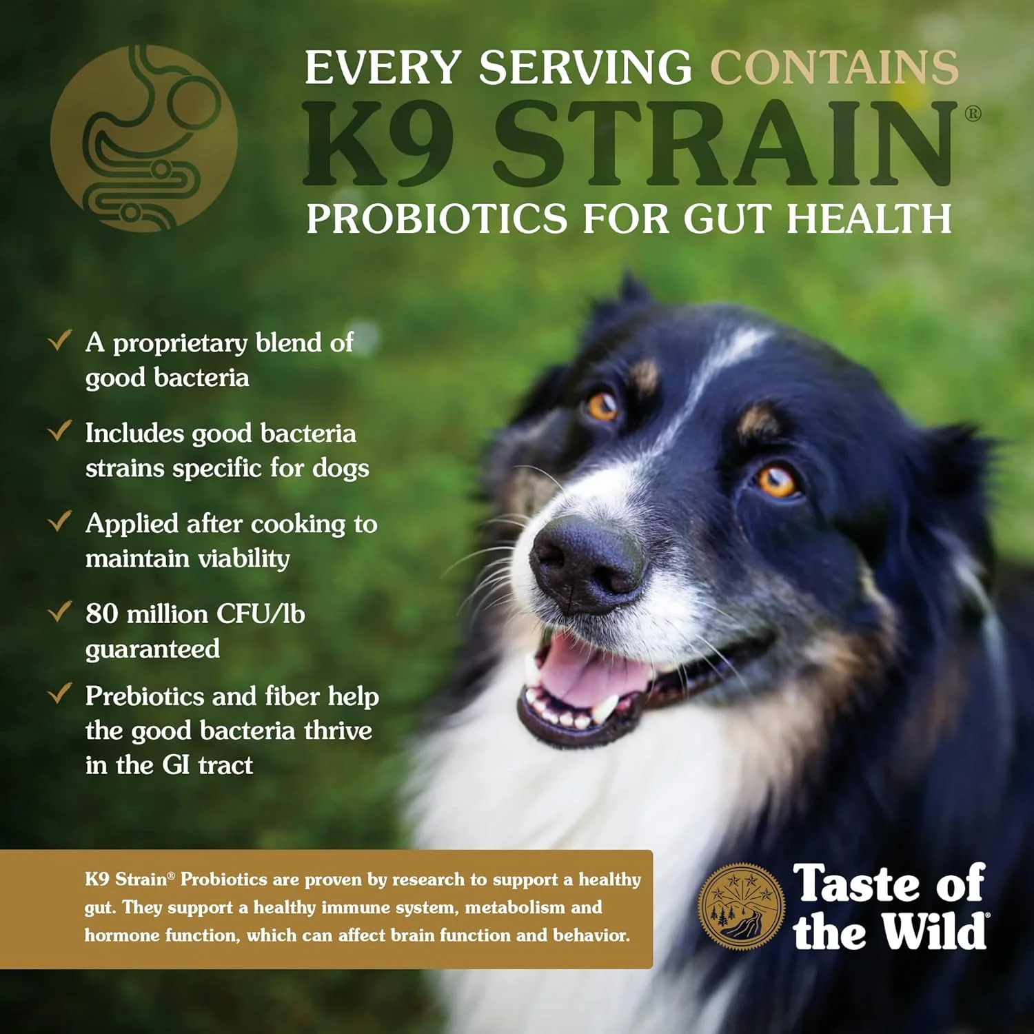 Taste Of The Wild Sierra Mountain Dry Dog Food - Image 3