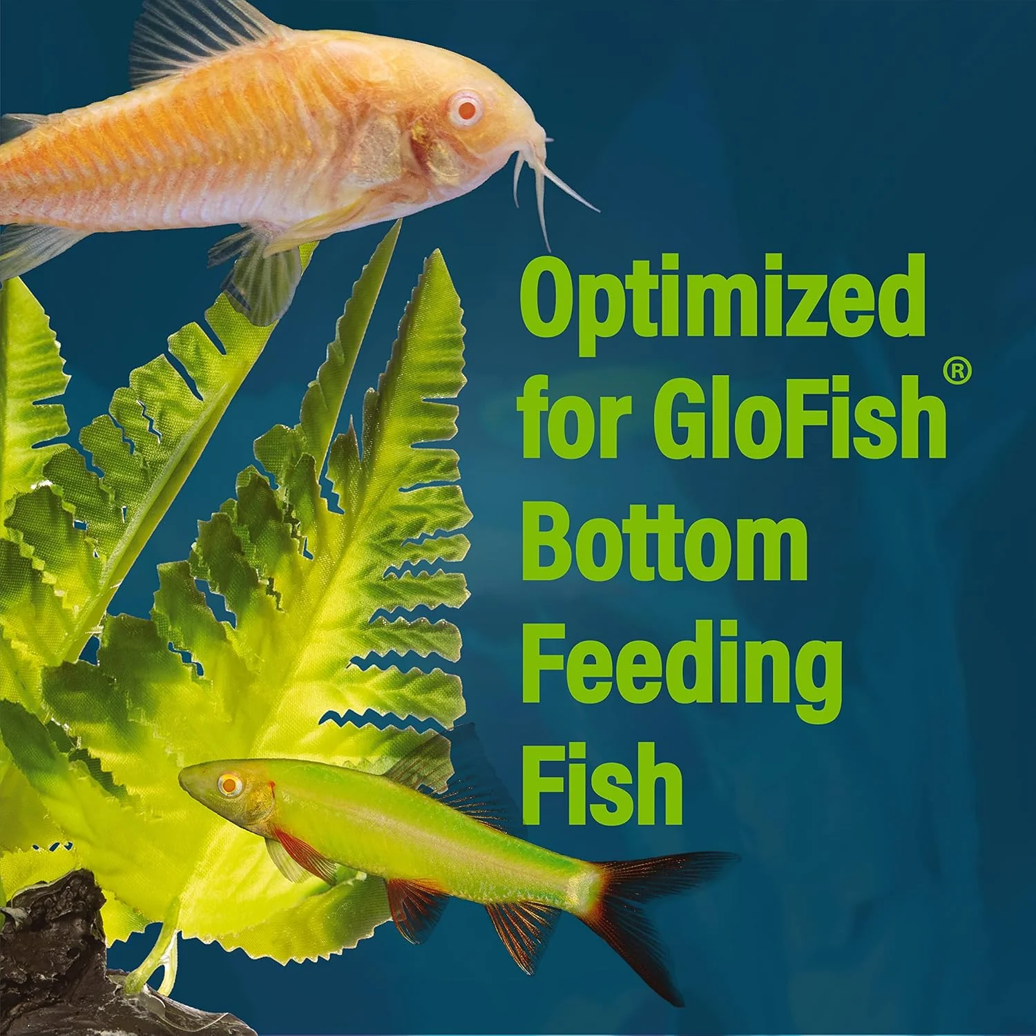 Tetra GloFish Wafers for GloFish Sharks and GloFish Cory Catfish, 1.58 Oz., Bottom-Feeding Fish Food - Image 4