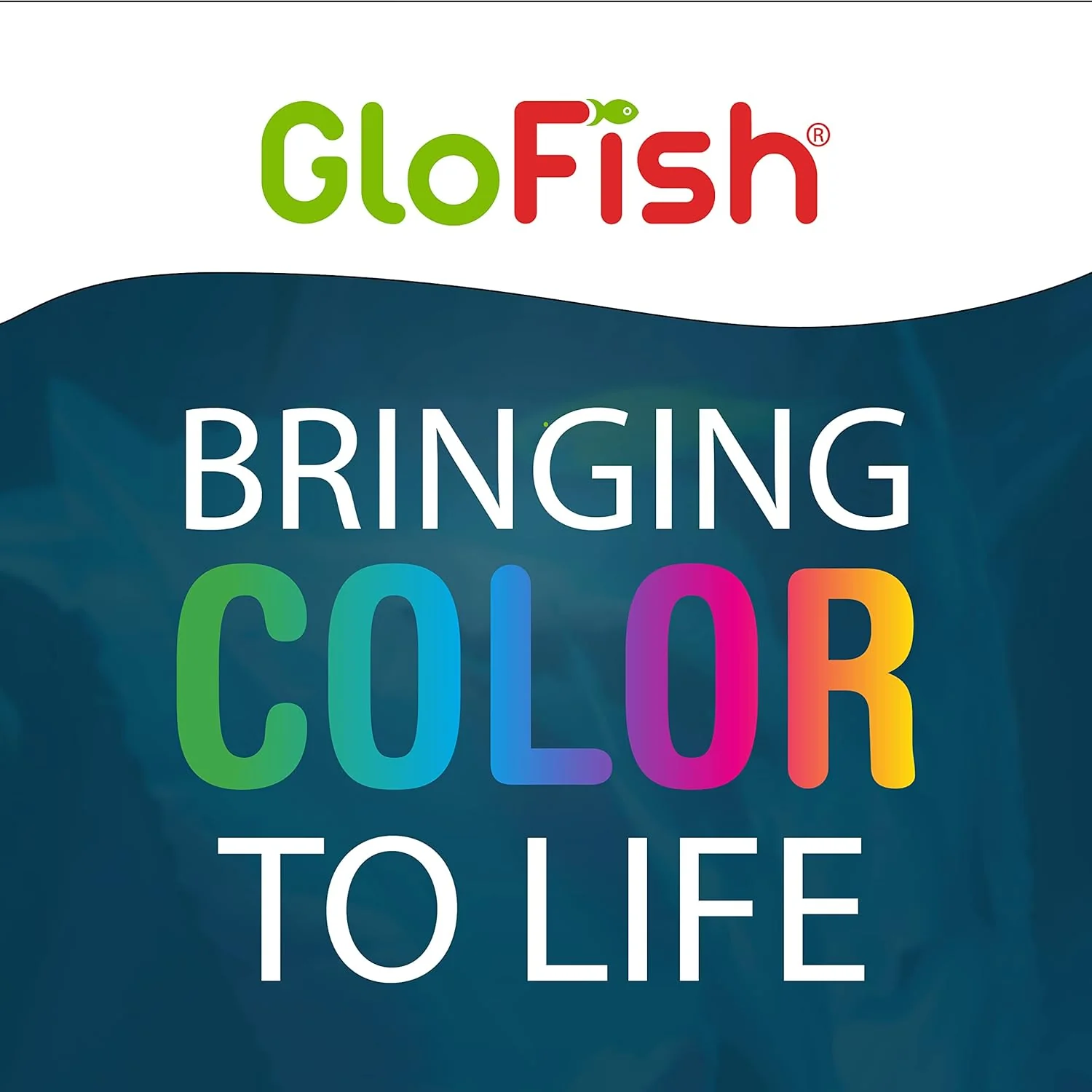 Tetra GloFish Wafers for GloFish Sharks and GloFish Cory Catfish, 1.58 Oz., Bottom-Feeding Fish Food - Image 5