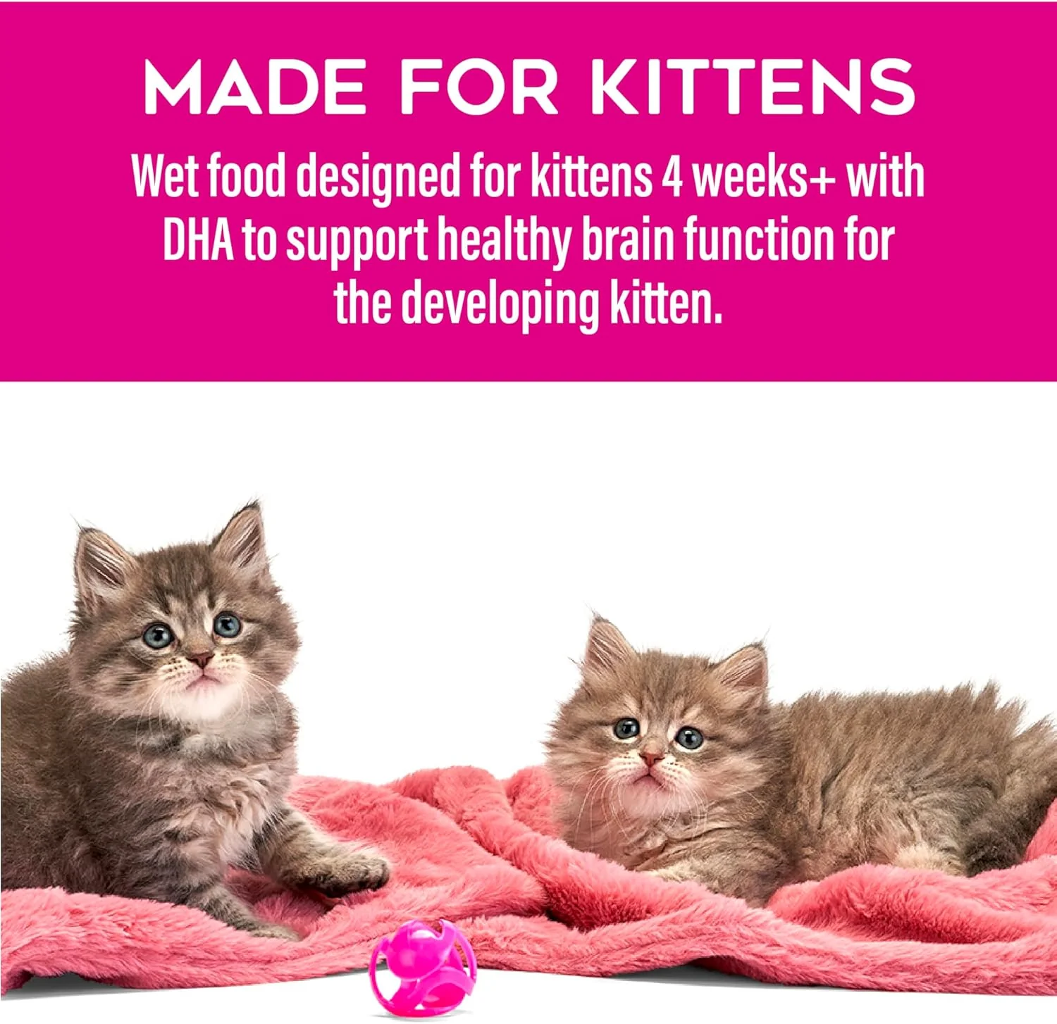 Tiki Cat Baby Pate Wet Cat Food for Kittens, Chicken, Tuna & Chicken Liver - Image 6