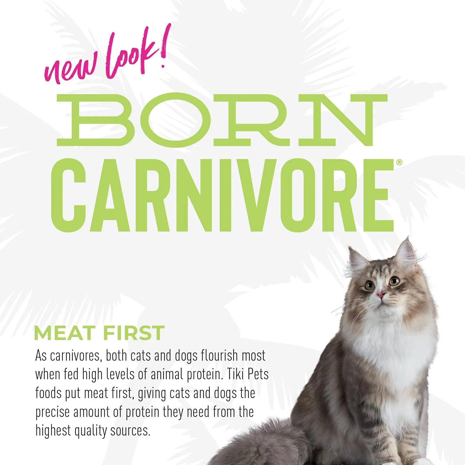 Tiki Cat Born Carnivore Indoor Health Dry Cat Food, Trout & Menhaden Fish Meal - Image 5