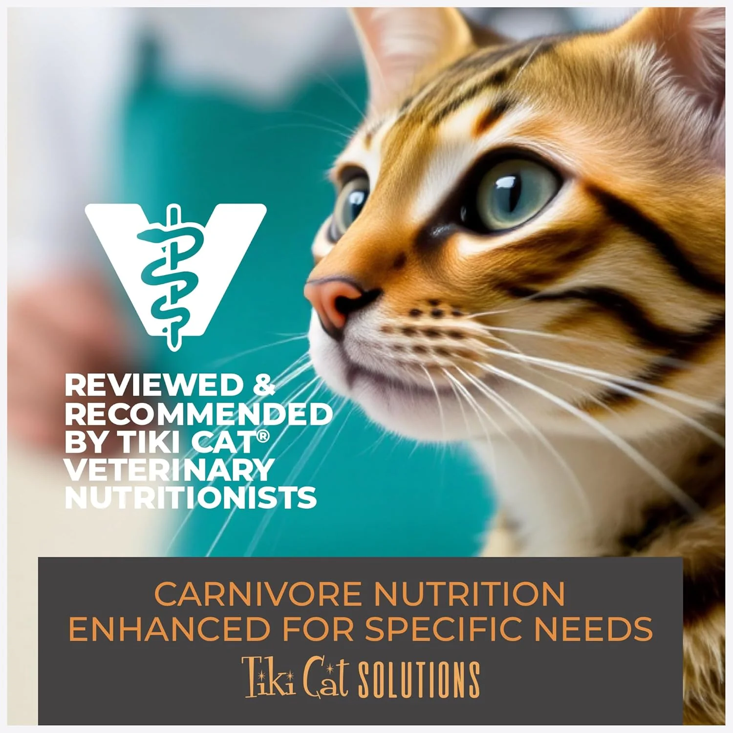 Tiki Cat Solutions Dry Cat Food, Mineral Balance, Chicken - Image 9