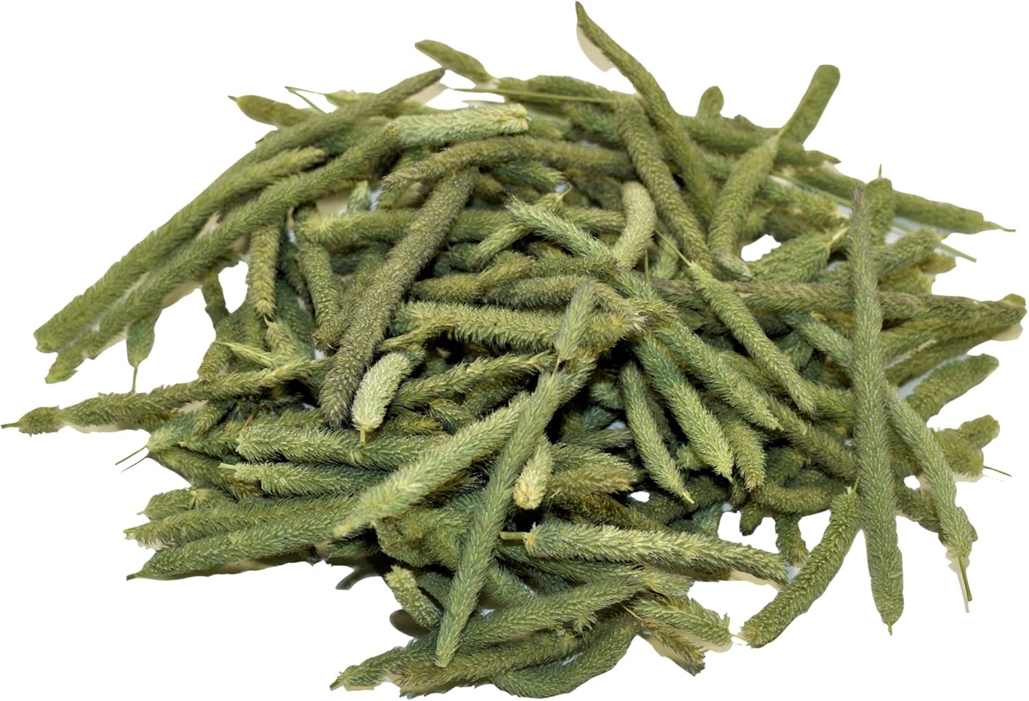 Timothy Seed Heads (10 Gram) - Image 4