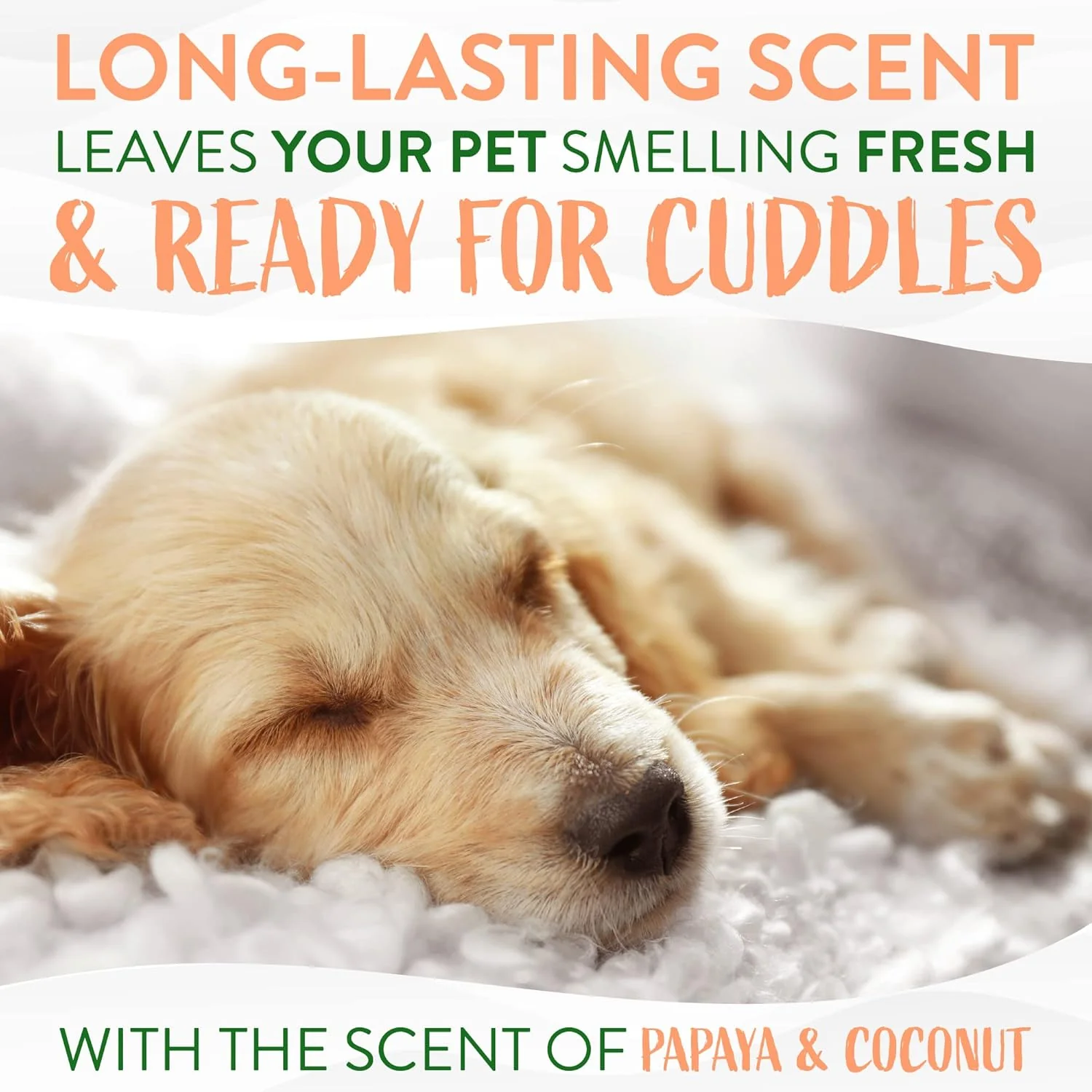 TropiClean Dog Wipes for Paws, Butt, Face, and Body, Anytime Cleaning and Deodorizing Pet Wipes - Image 5