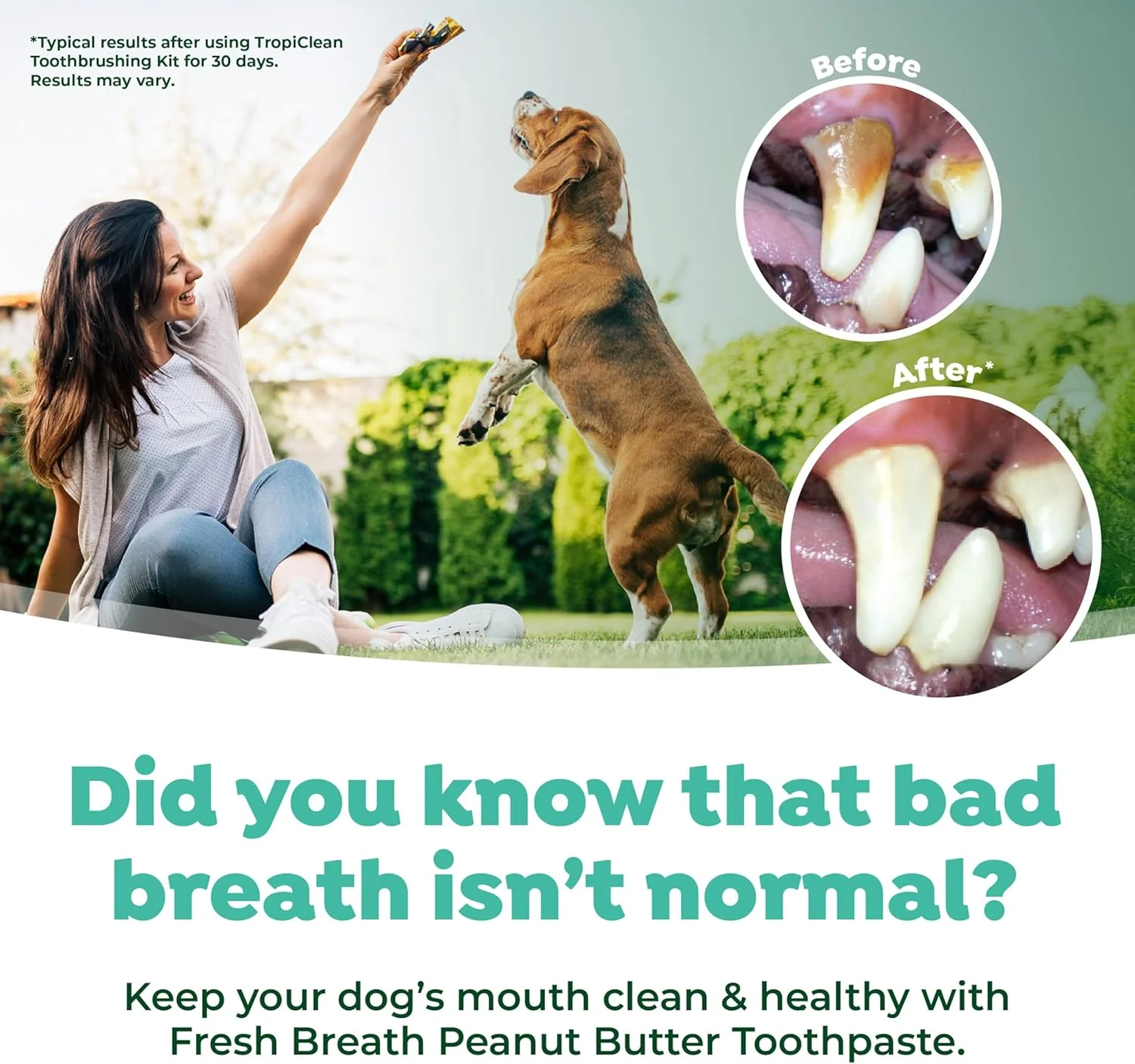 TropiClean Fresh Breath - Dog Toothpaste - Dog Teeth Cleaning Peanut Butter & Honey Flavor - Image 5