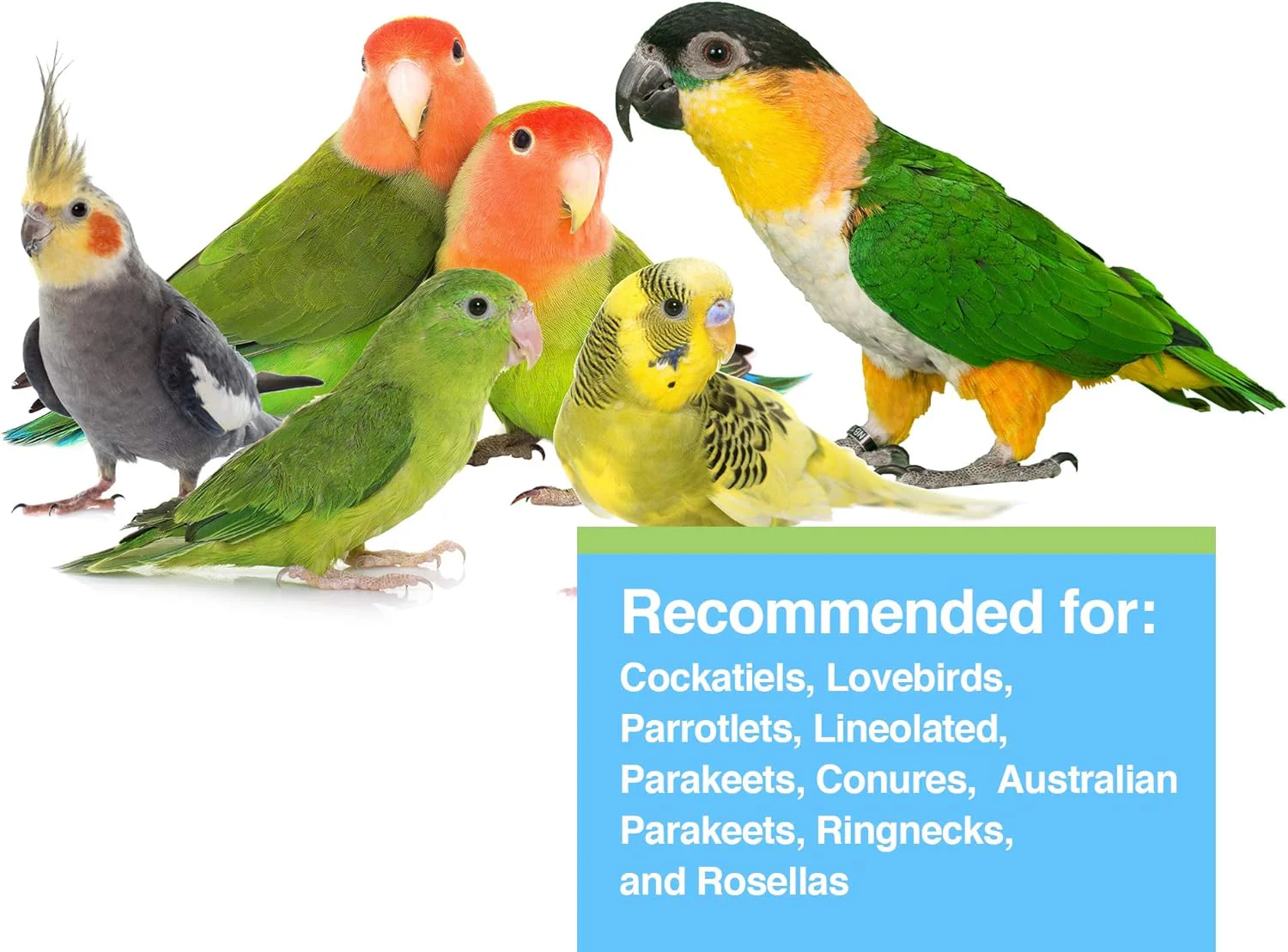 Tropimix Bird Food for Cockatiels and Lovebirds, Hagen Parrot Food with Seeds, Fruit, Vegetables, Vitamins & Amino Acids, 8 Pound (Pack of 1) - Image 3
