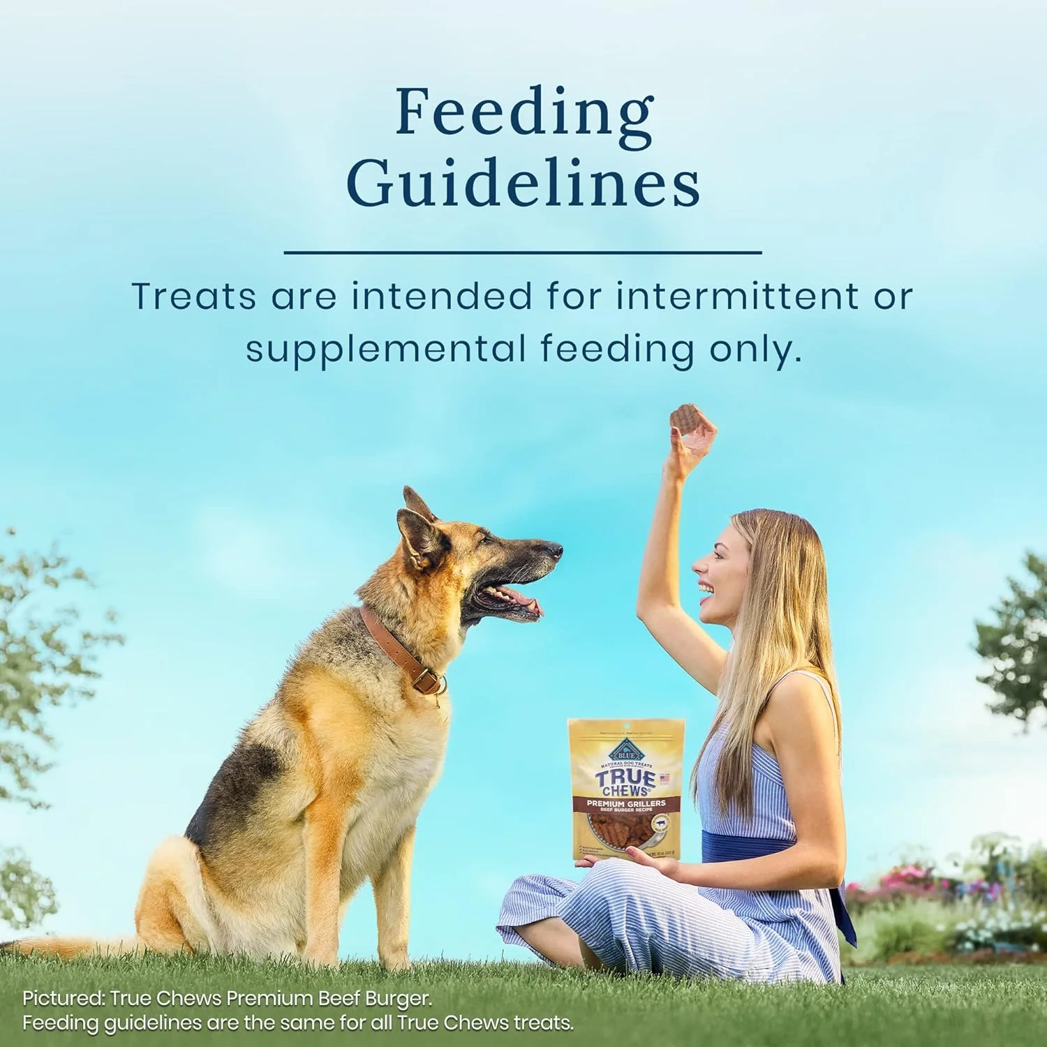 True Chews - Blue Buffalo True Chews Premium Morsels Natural Dog Treats, Chicken 11 oz bag - Image 5