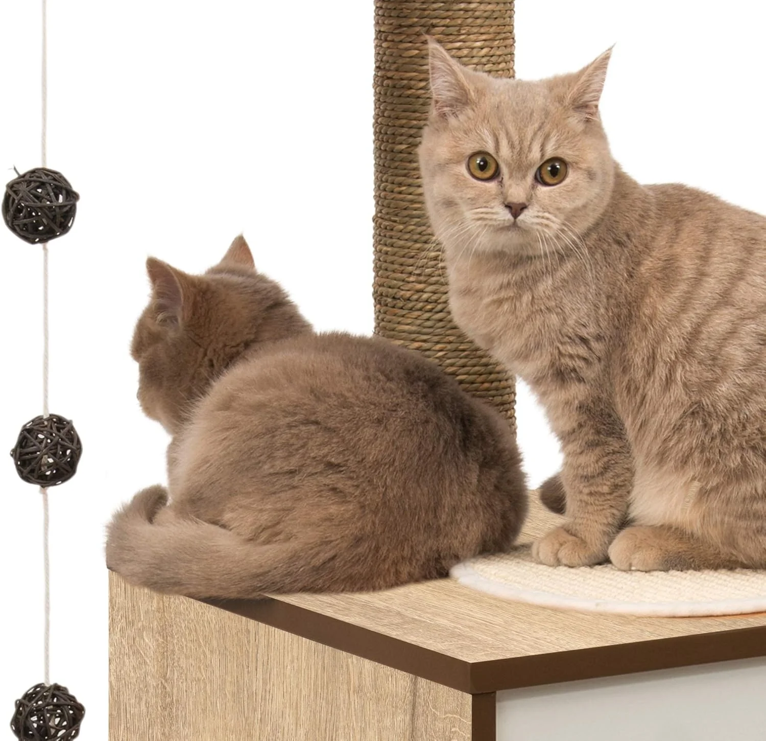 Vesper Cat Tree, High Base, Oak, 52063, 56 x 56 x 81.5 cm (22 x 22 x 32 in) - Image 2