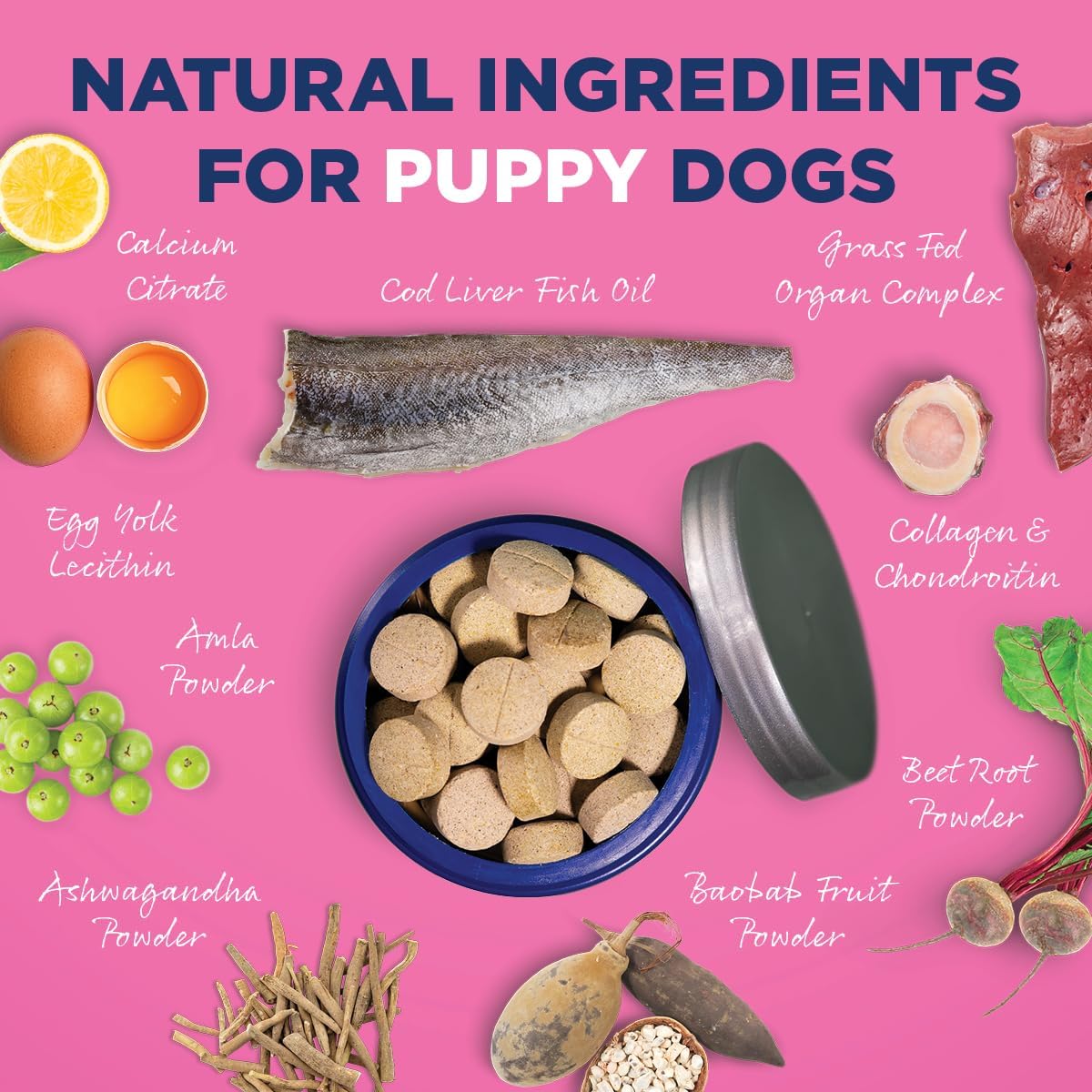 Vetericyn All-in 1 Multifunctional Puppy Supplement | Digestive Enzymes + Antioxidant Immune Support for Puppies + Vitamins, Minerals, Prebiotics, Probiotics, and Omegas. 90 Count - Image 4